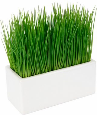Kunstpflanze Gras, I.GE.A., Höhe 22 cm, in Keramikschale