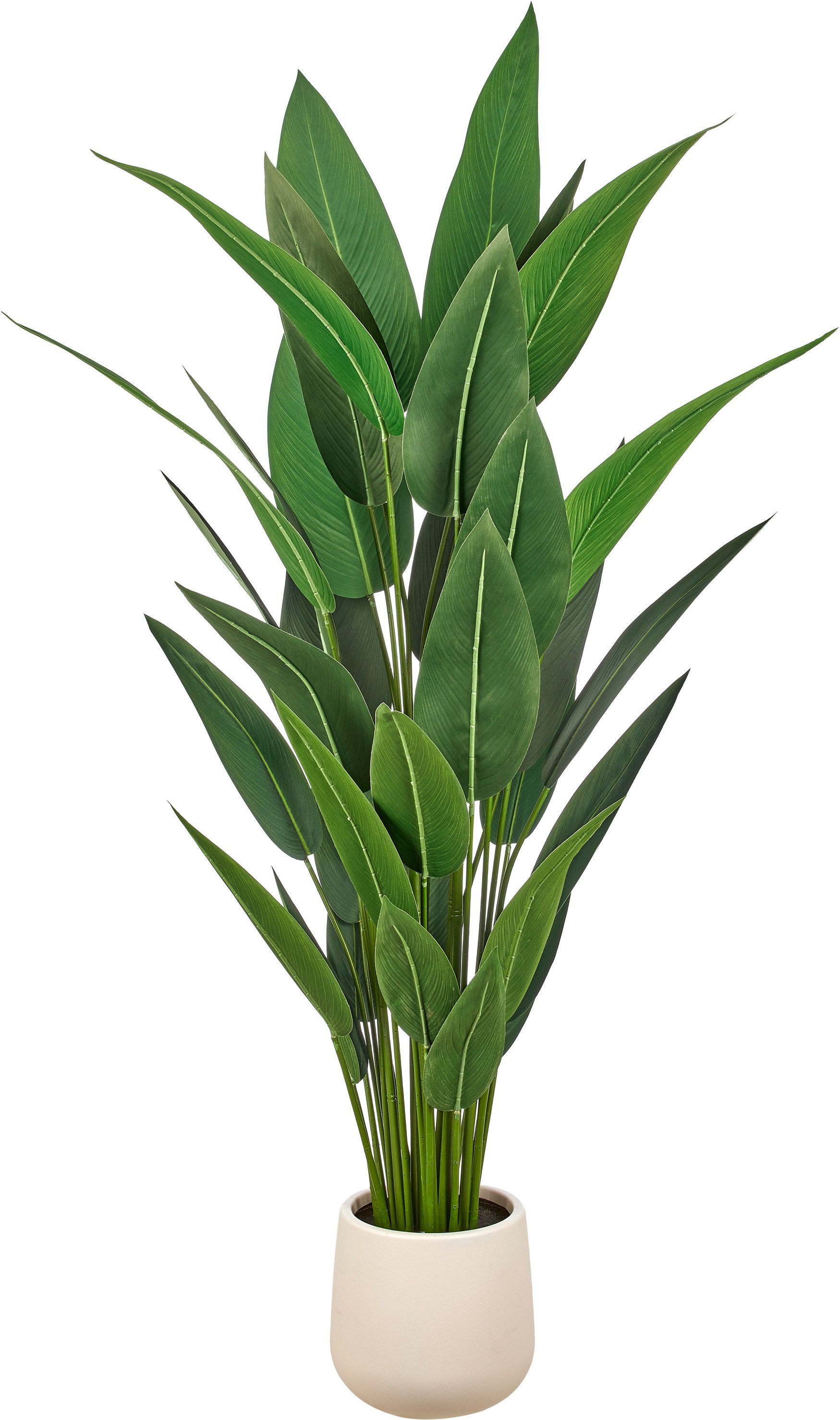Kunstpflanze Strelitzia reginae, Creativ green, Höhe 175 cm, in beeindruckender Größe