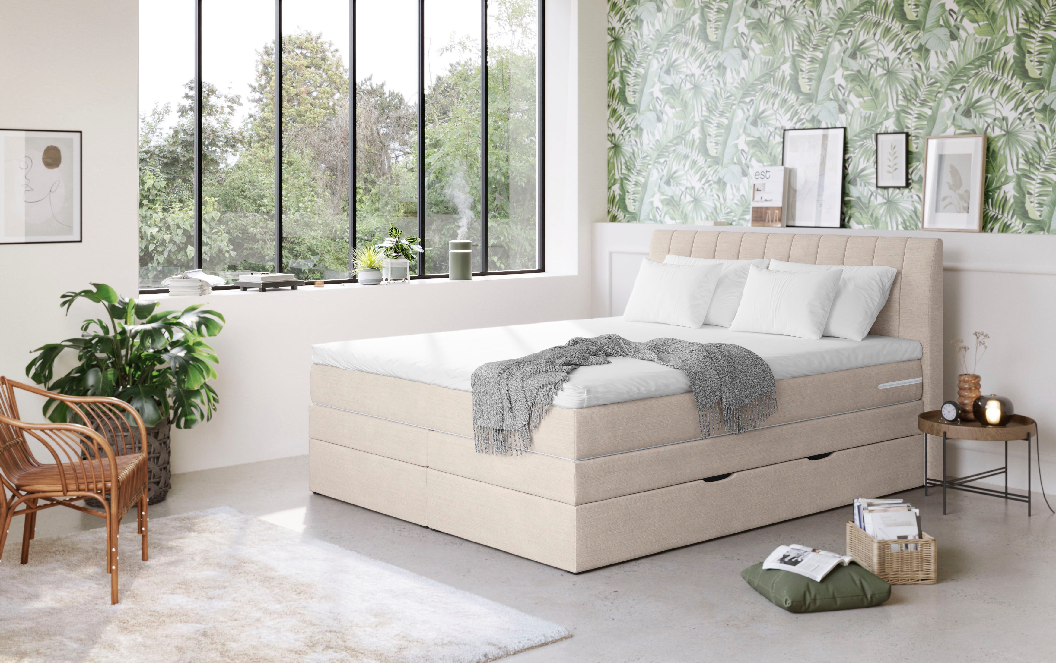 COTTA Boxspringbett Shark inkl. Bettkasten und Topper, erhältlich in den Br günstig online kaufen