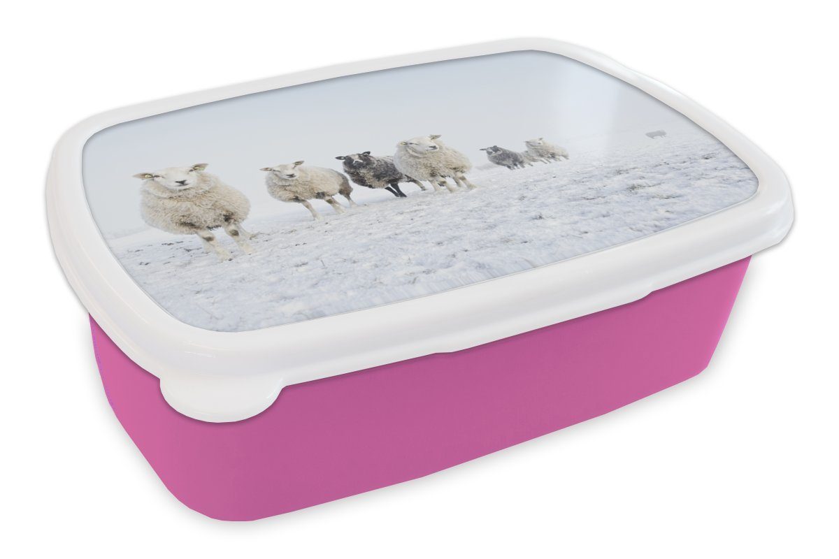 MuchoWow Lunchbox Schafe - Wolle - Schnee, Kunststoff, (2-tlg), Brotbox für Erwachsene, Brotdose Kinder, Snackbox, Mädchen, Kunststoff rosa