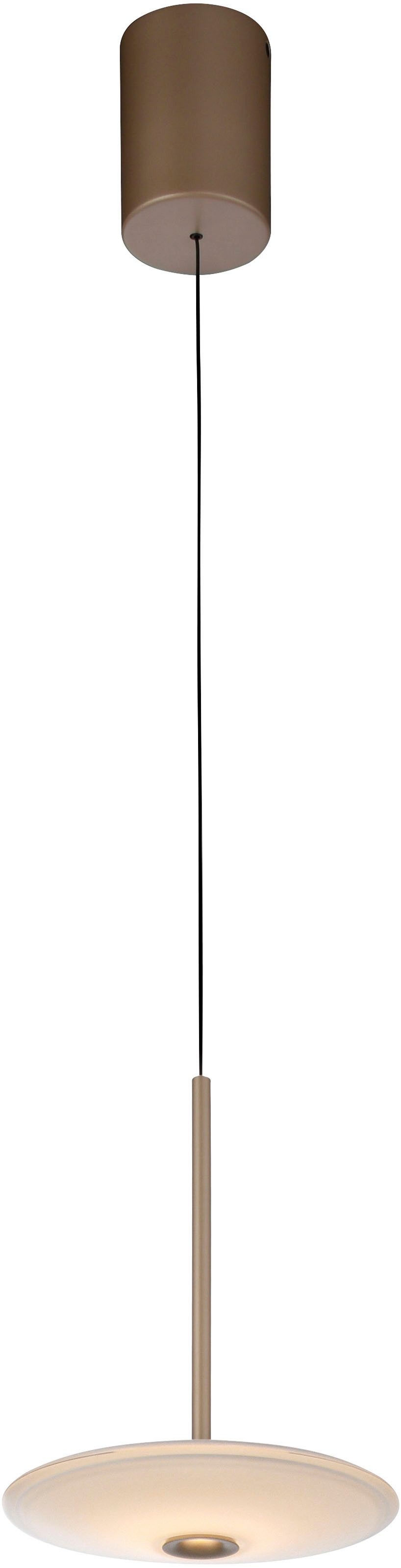 Paul Neuhaus LED Pendelleuchte ELIPSA, LED fest integriert, Warmweiß, Dimmfähig über separaten Tronicdimmer, Comfort-Lift