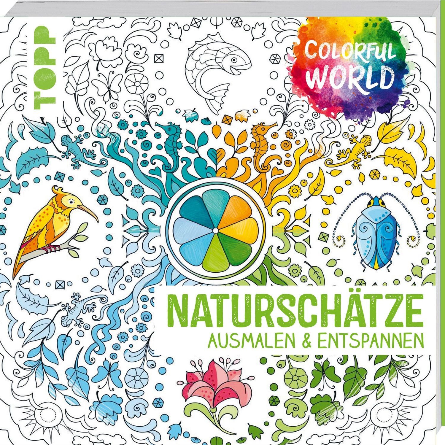 Colorful World - Naturschätze Ausmalen & entspannen / Helga Altmayer, Ursula Schwab, Natascha Pitz, Ausmalen & entspannen