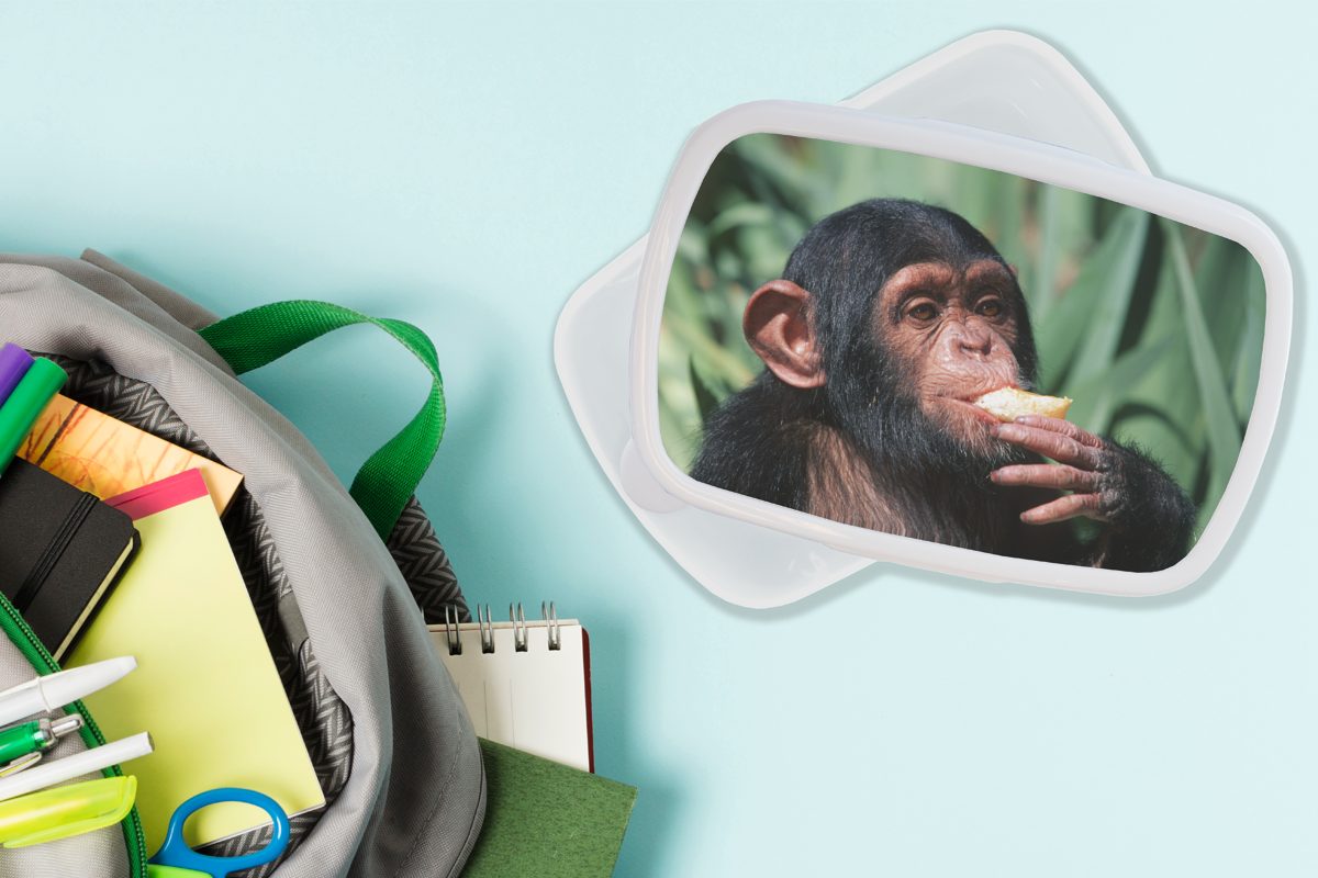 MuchoWow Lunchbox (2-tlg), für Jungs weiß Brotbox und Kunststoff, und Brotdose, Schimpansen-Affe, essender Nahaufnahme Mädchen Kinder für Erwachsene