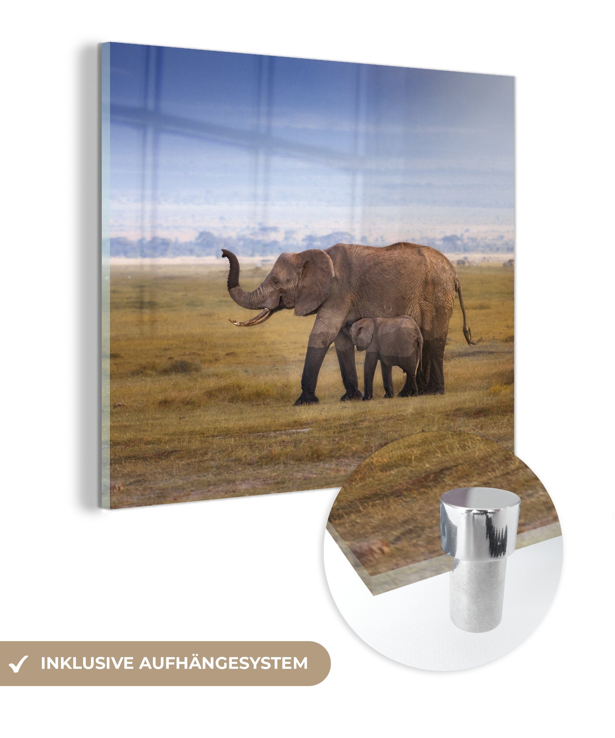 St), seiner MuchoWow Elefantenbabys Bilder und Mutter, - Glas (1 Foto Wandbild Acrylglasbild eines - Nasse Pfoten - auf Wanddekoration auf Glasbilder Glas