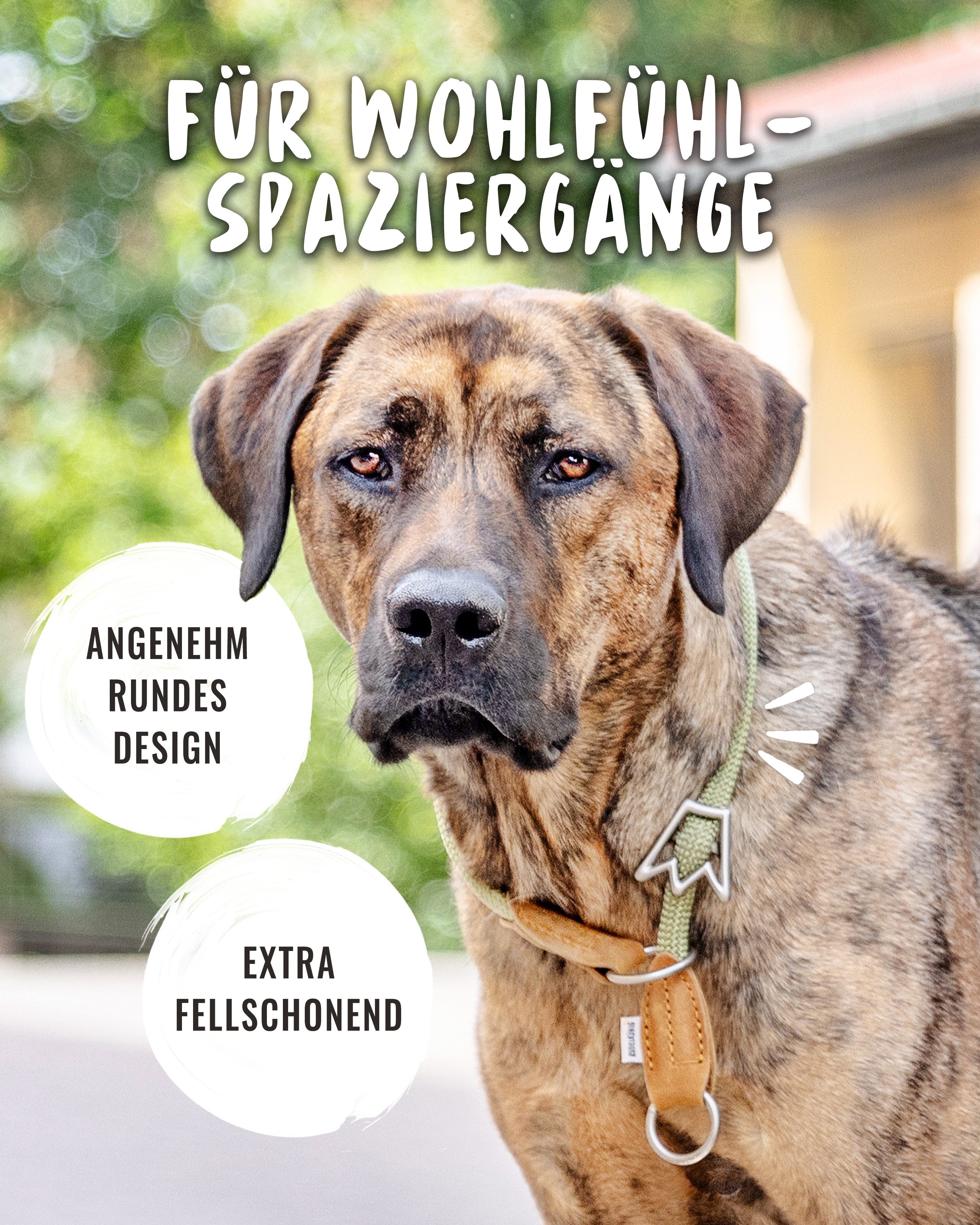 Rudelkönig Hunde-Halsband Zugstopp Halsband Hund Emma, Robustes Hundehalsband, Echtleder, Nylon, Elegantes Tau Halsband