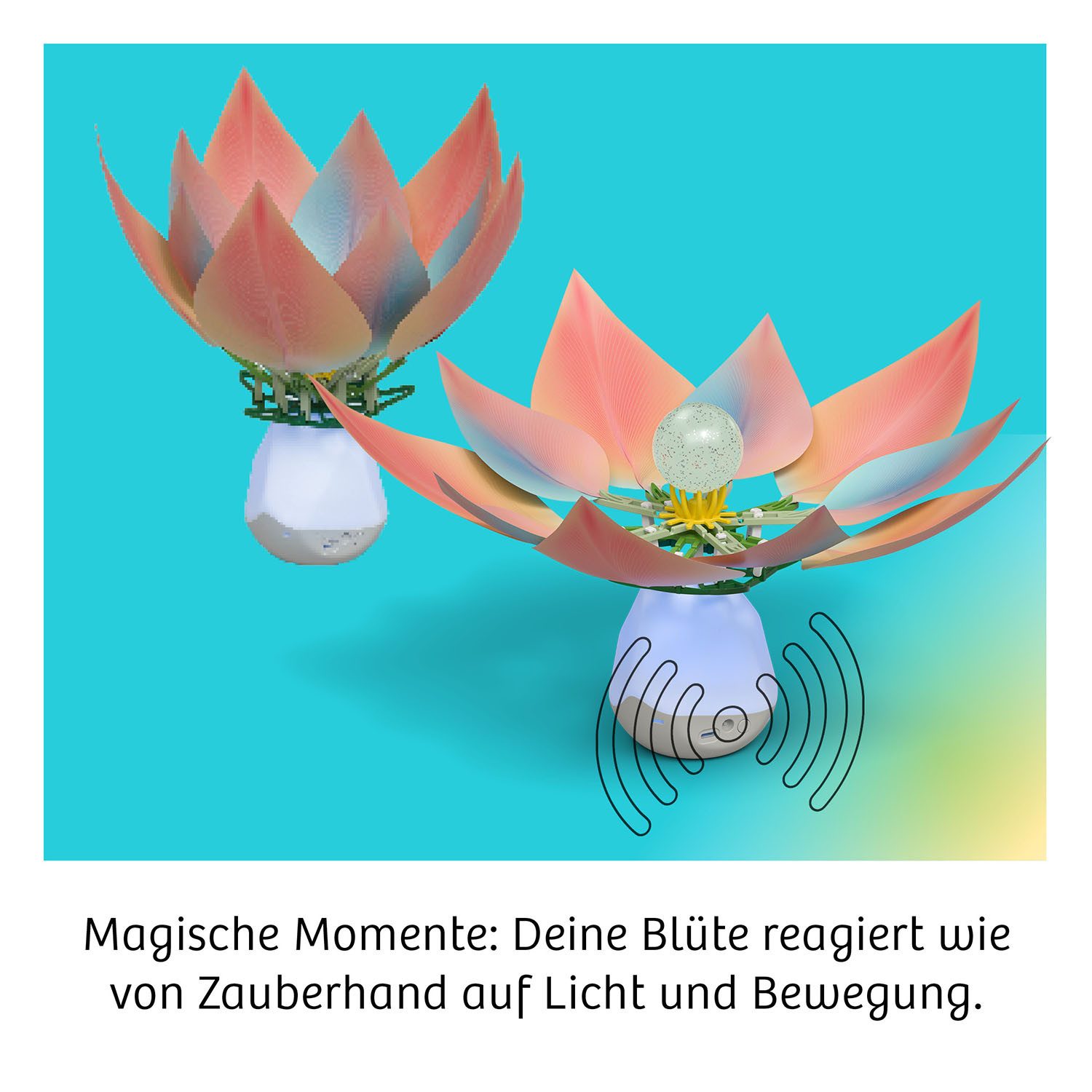 Kosmos Experimentierkasten Robotic Flower, Made in Germany