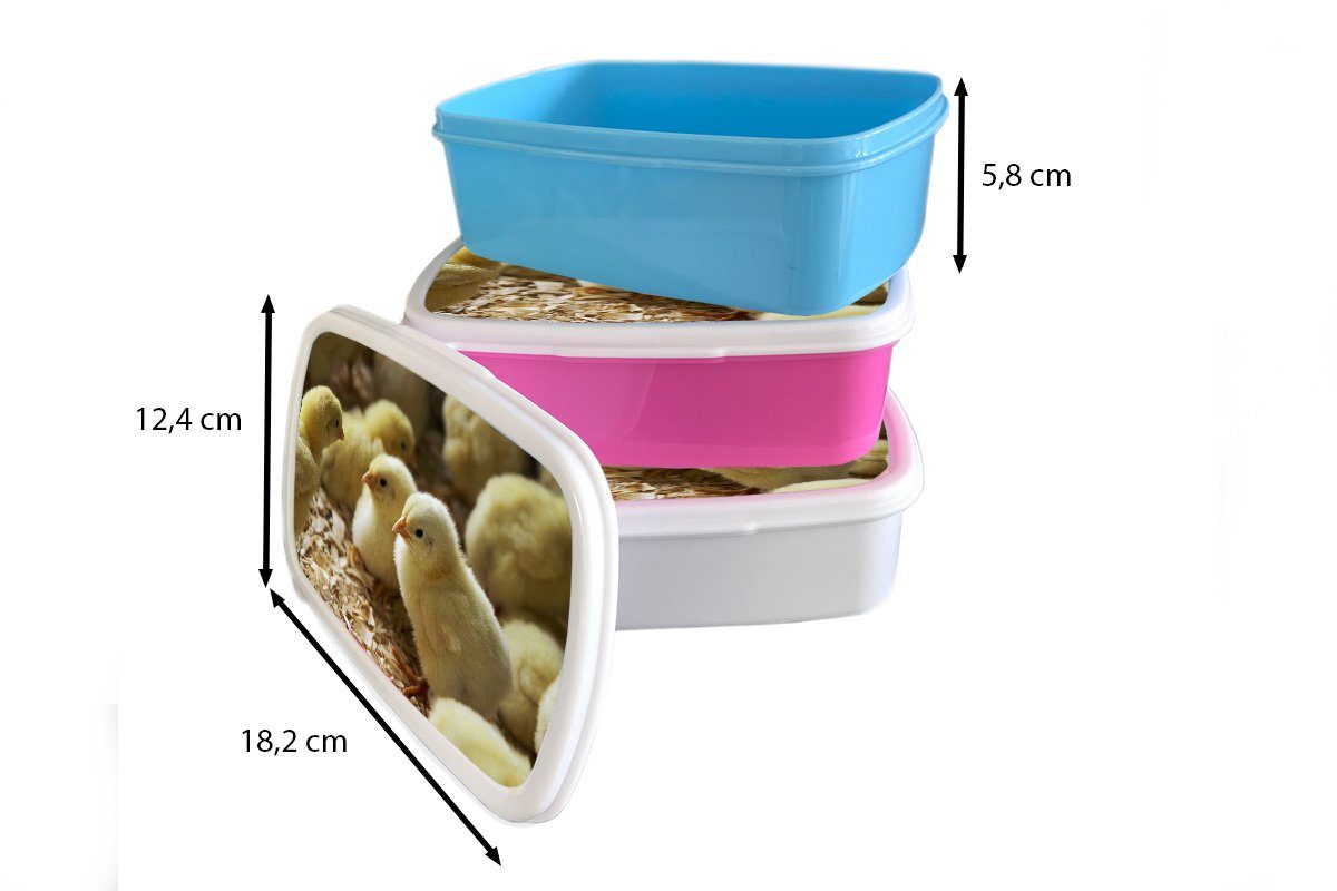 Lunchbox Kunststoff, (2-tlg), Sägemehl, Kinder, Mädchen, rosa Babyküken Brotdose im Erwachsene, Brotbox Kunststoff MuchoWow für Snackbox,