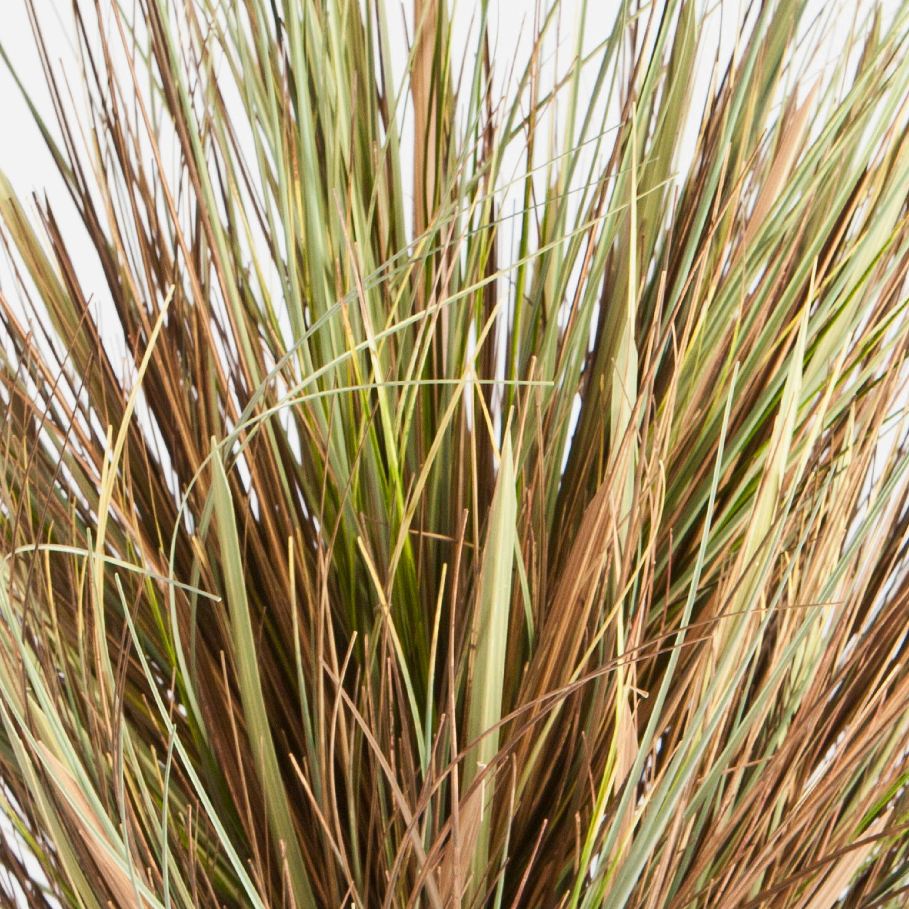 Kunstgras Künstliches Dünengras im Topf, grün-braun, 50cm - Kunstgras Strandhafer, artplants, Höhe 50.0 cm