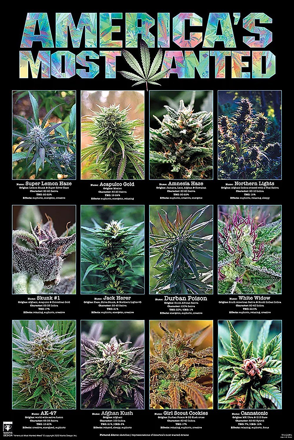 PYRAMID Poster America's Most Wanted Poster günstig online kaufen
