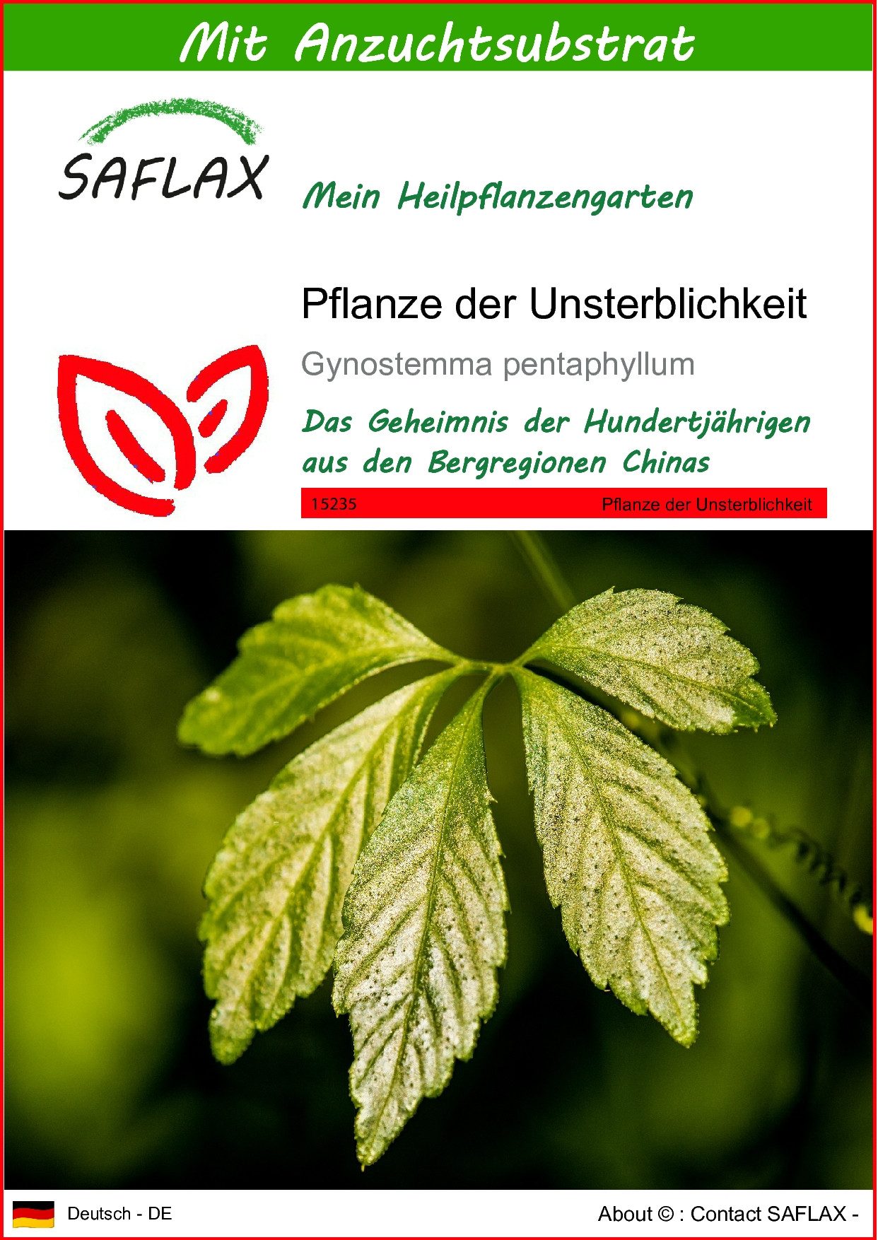 Blumensamen SAFLAX - Samen und Substrat - Pflanze der Unsterblichkeit