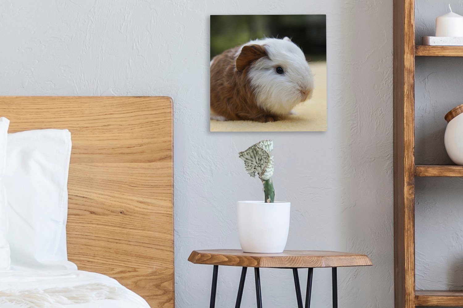 Bilder Schlafzimmer Junges OneMillionCanvasses® Wohnzimmer für (1 Leinwand St), Meerschweinchen, Leinwandbild