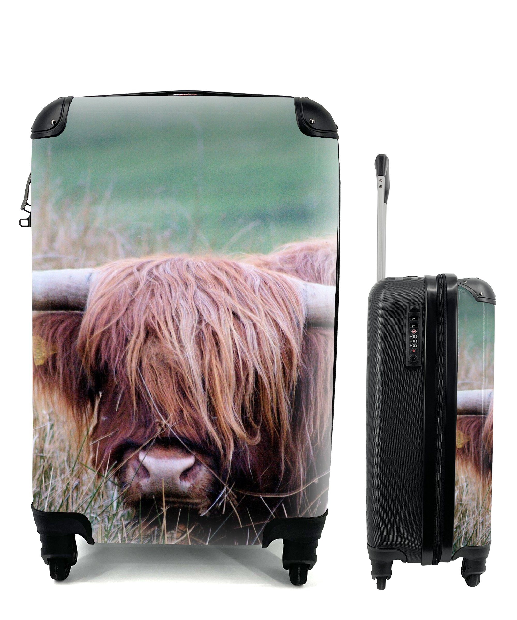 MuchoWow Handgepäckkoffer Schottischer Highlander - Hörner - Gras, 4 Rollen, Reisetasche mit rollen, Handgepäck für Ferien, Trolley, Reisekoffer