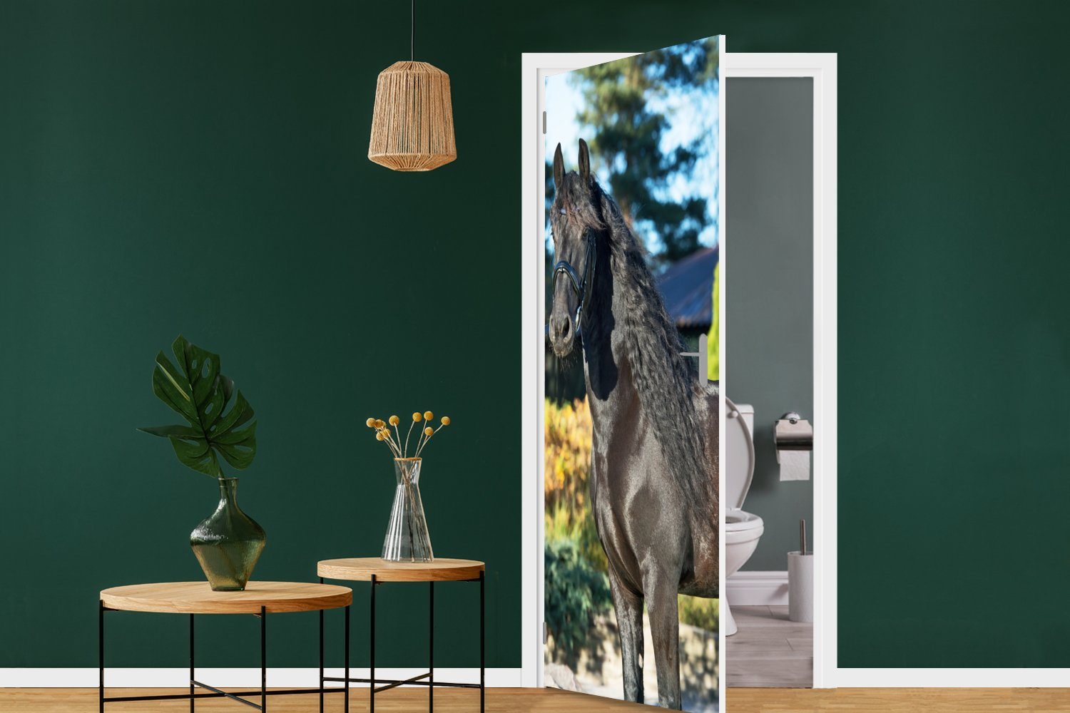 Tür, (1 Pferd, - Friesisch 75x205 Türaufkleber, Sonne - Matt, MuchoWow Fototapete bedruckt, Türtapete St), für cm