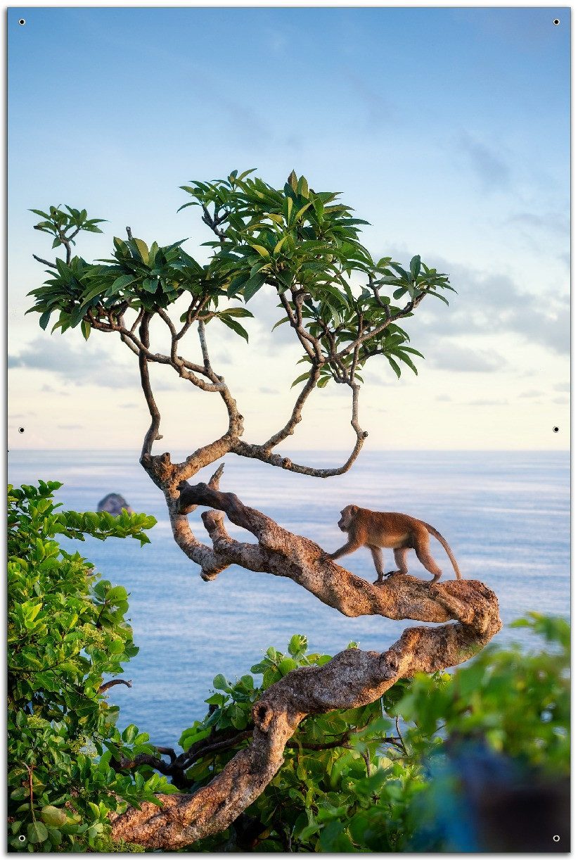 Wallario Sichtschutzzaunmatten Affe auf Baum