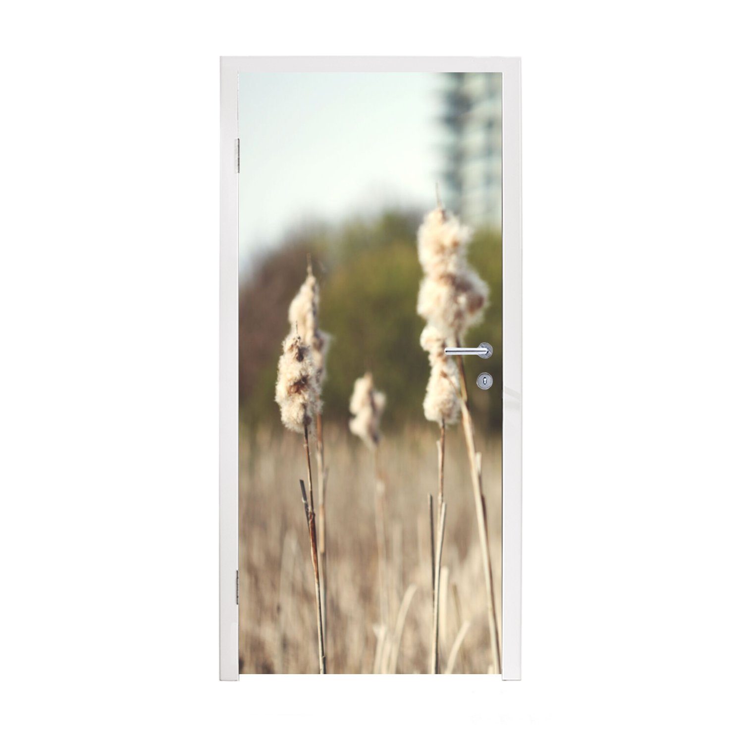 MuchoWow Türtapete Baumwolle - Sonne - Pflanzen, Matt, bedruckt, (1 St), Fototapete für Tür, Türaufkleber, 75x205 cm