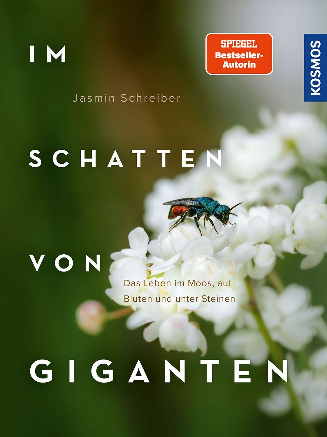 Im Schatten von Giganten / Jasmin Schreiber