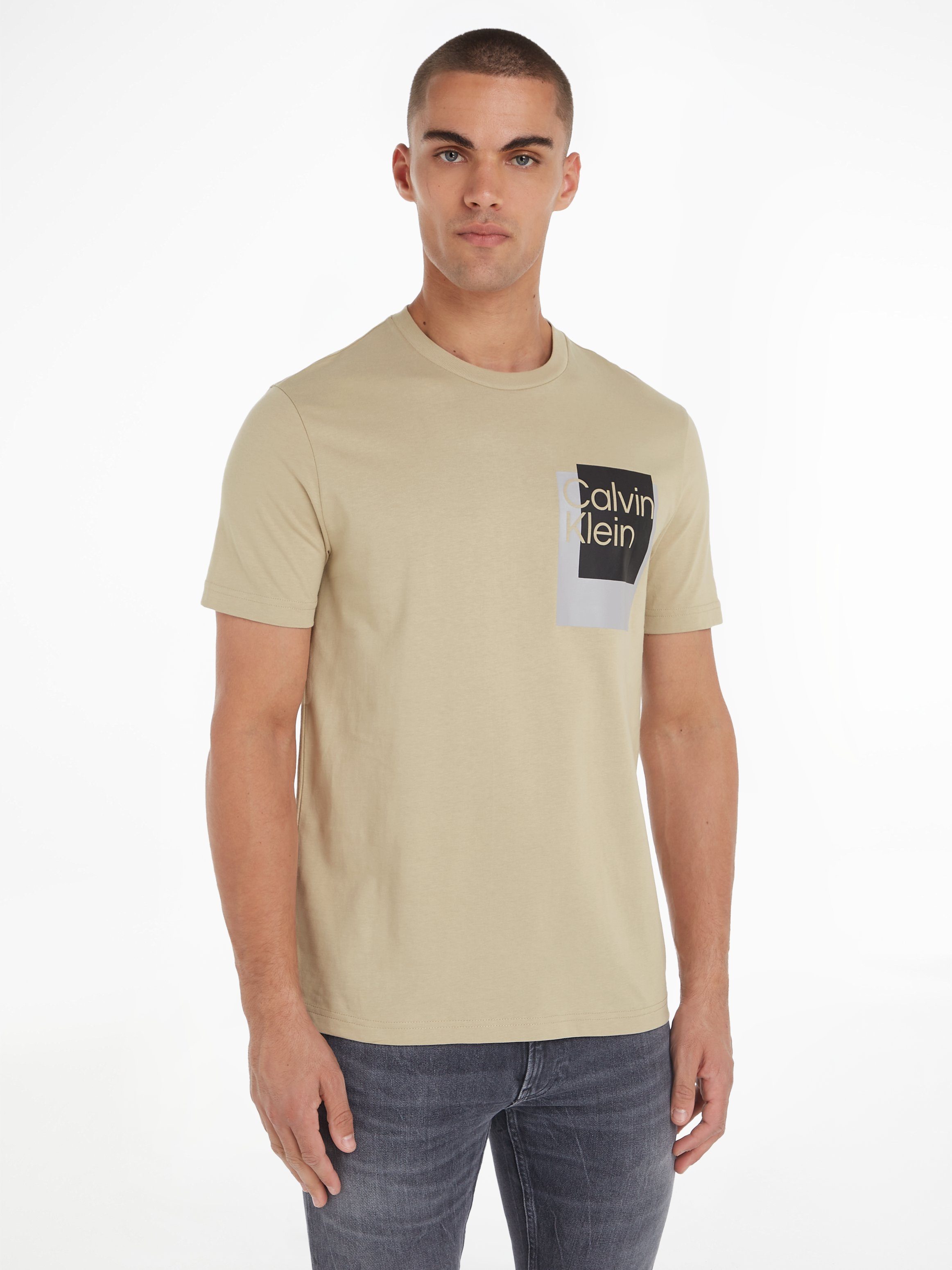 Calvin Klein T-Shirt OVERLAY BOX LOGO T-SHIRT Eucalyptus