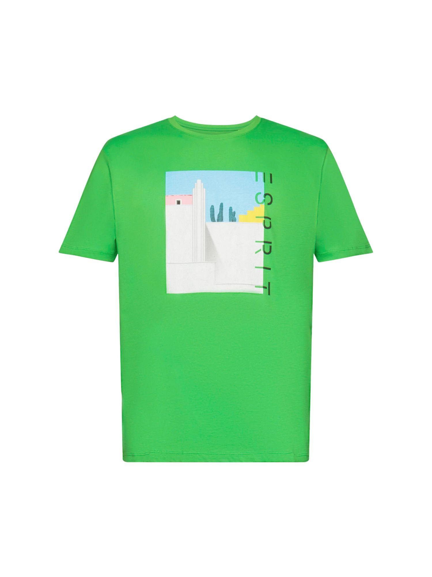Esprit T-Shirt Baumwoll-T-Shirt mit Frontprint (1-tlg) GREEN