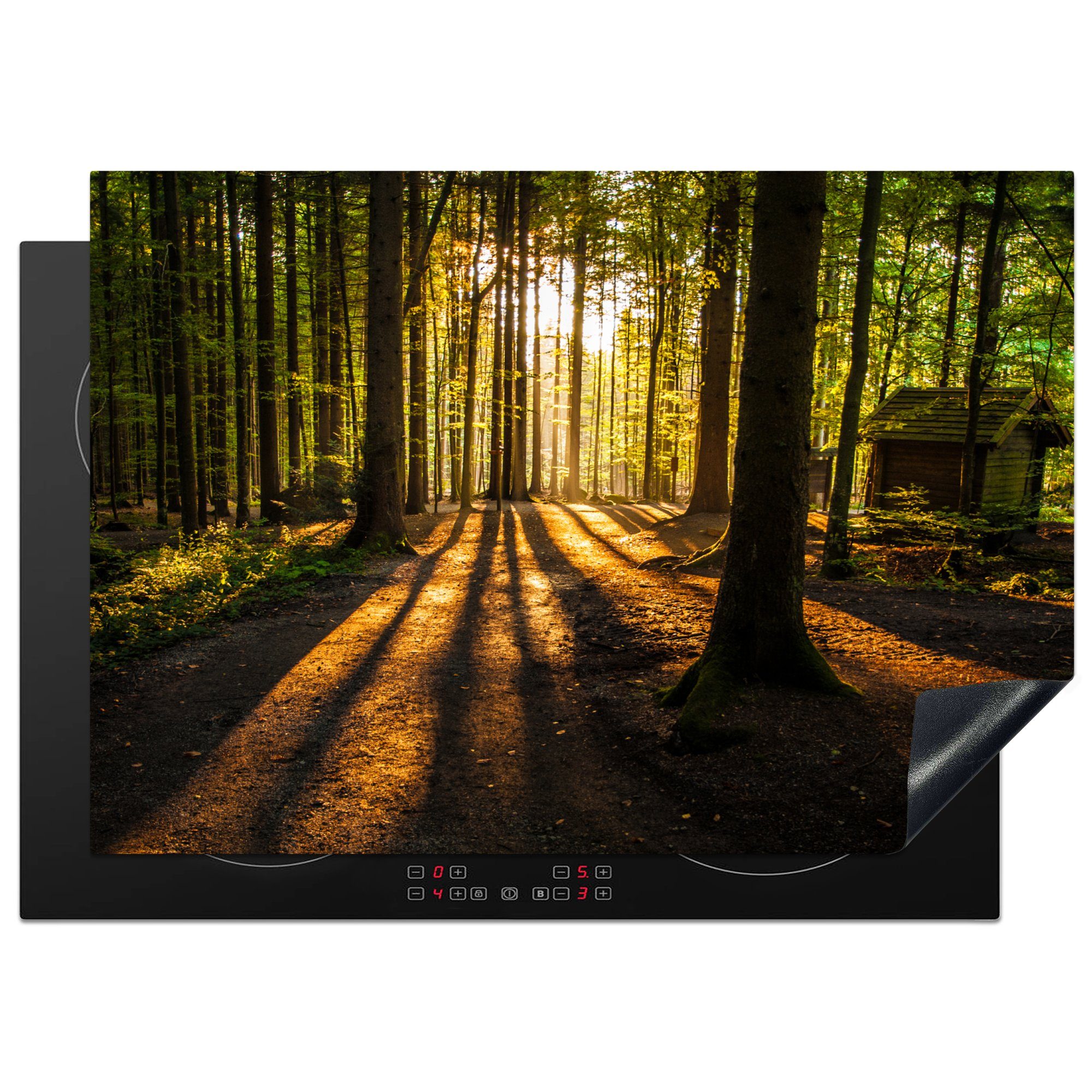 MuchoWow Herd-Abdeckplatte Sonne - Bäume - Wald - Landschaft - Natur, Vinyl, (1 tlg), Abdeckplatten für Ceranfeld Herd, Küchendeko, 75x52 cm