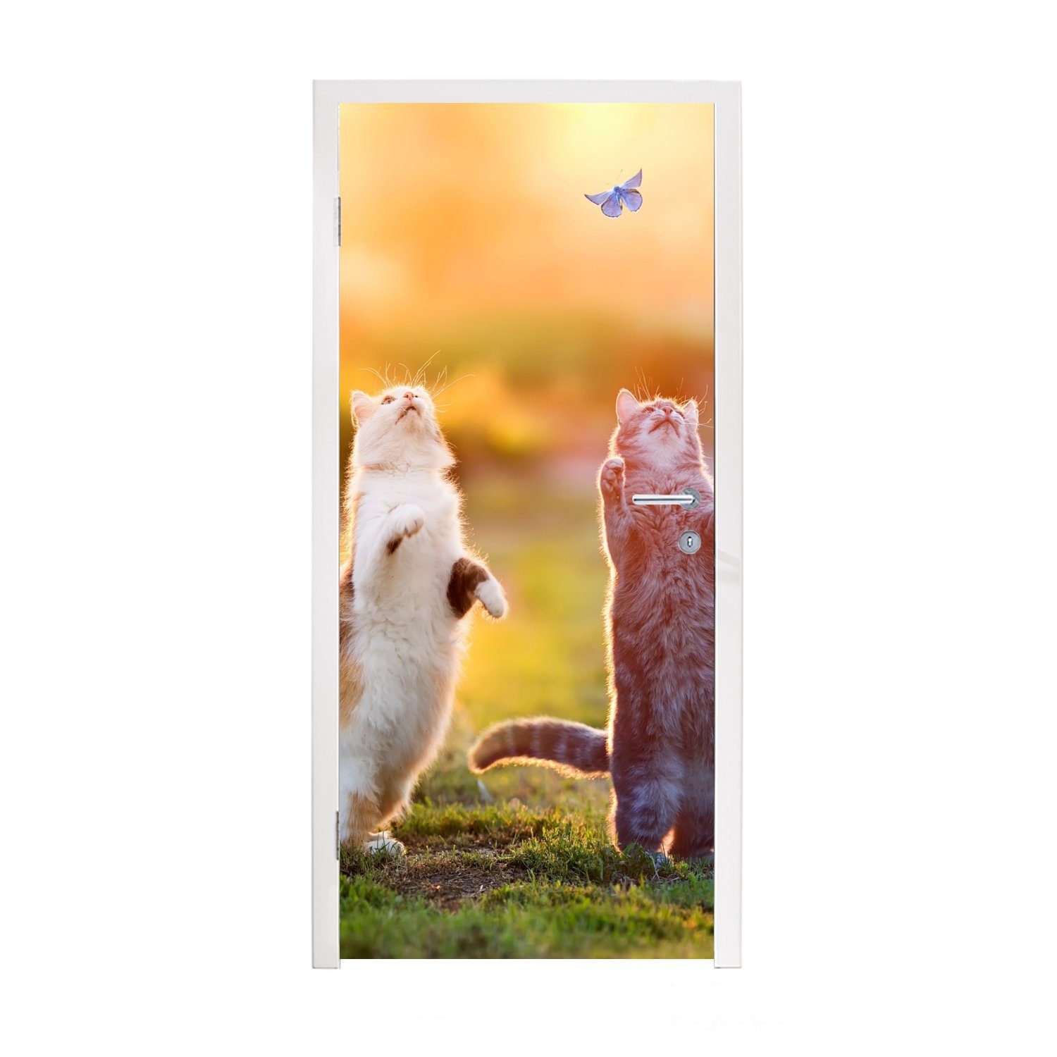 MuchoWow Türtapete Katzen - Schmetterling - Sonnenuntergang - Gras - Natur, Matt, bedruckt, (1 St), Fototapete für Tür, Türaufkleber, 75x205 cm
