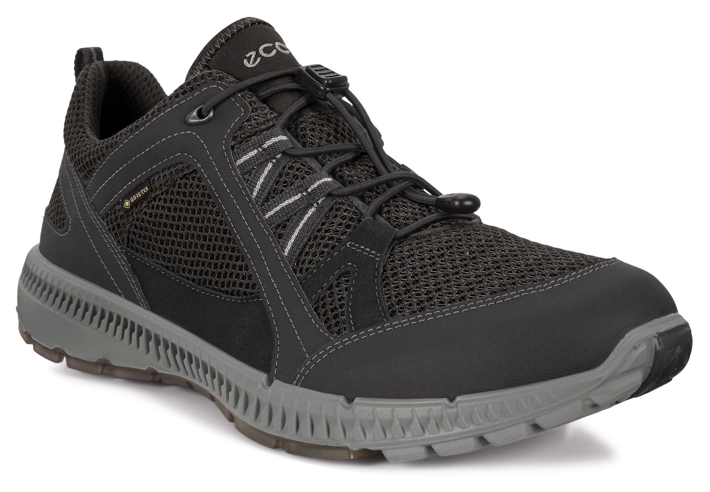 Ecco TERRACRUISE 2 Sneaker schwarz M mit GORE-TEX