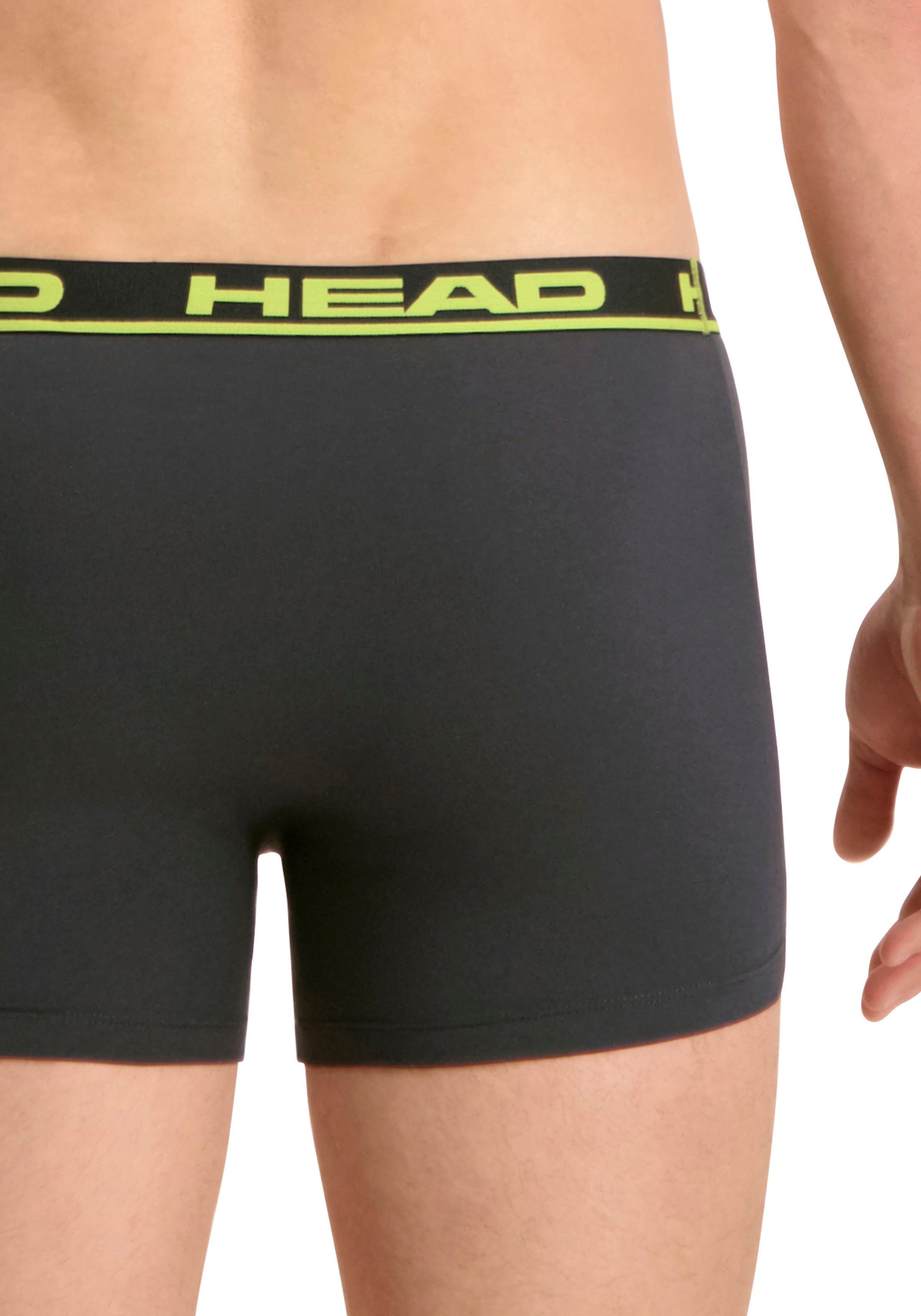 Head Boxershorts HEAD BASIC BOXER 2P (2er Pack) mit elastischem Logobund