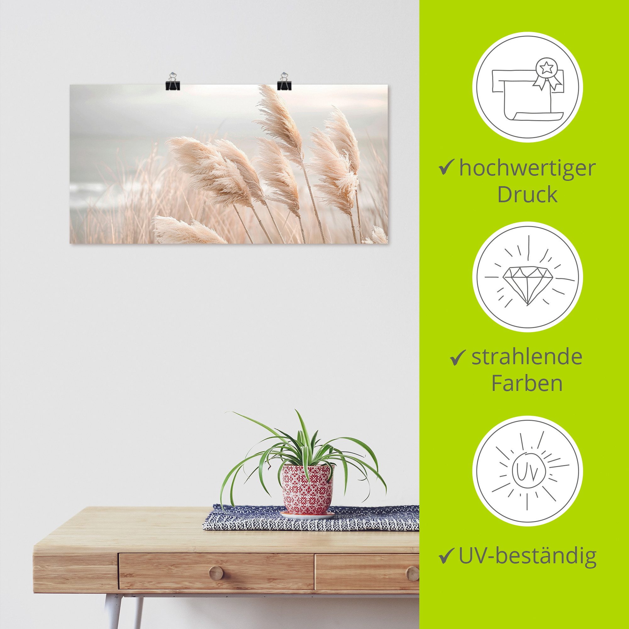 Artland Wandbild Pampasgras in einer zarten Brise, Gräser (1 St), als Alubild, Leinwandbild, Poster, Wandaufkleber in verschied. Größen