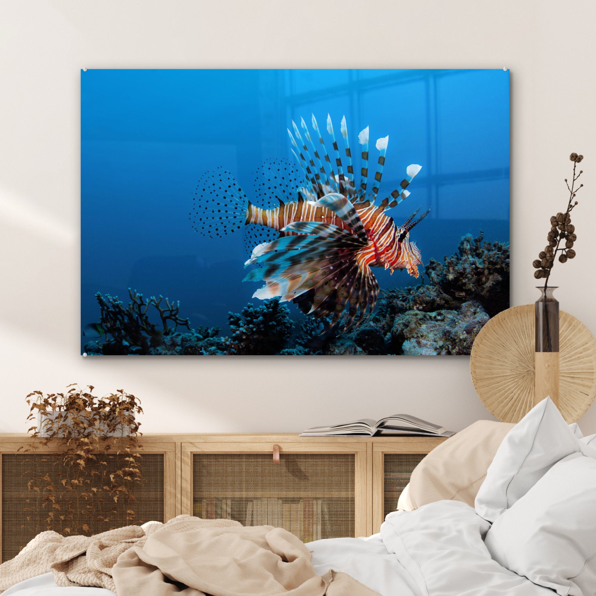 - Schlafzimmer Wasser Wohnzimmer MuchoWow Korallenteufel, Fische St), Acrylglasbilder & (1 - Acrylglasbild