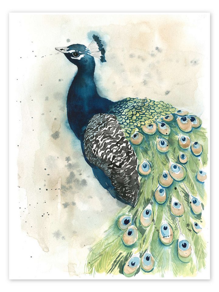 Posterlounge Wandbild Pfau-Porträt, Grace Popp, erhältlich als Poster, Leinwandbild, Wandsticker oder Acrylglasbild