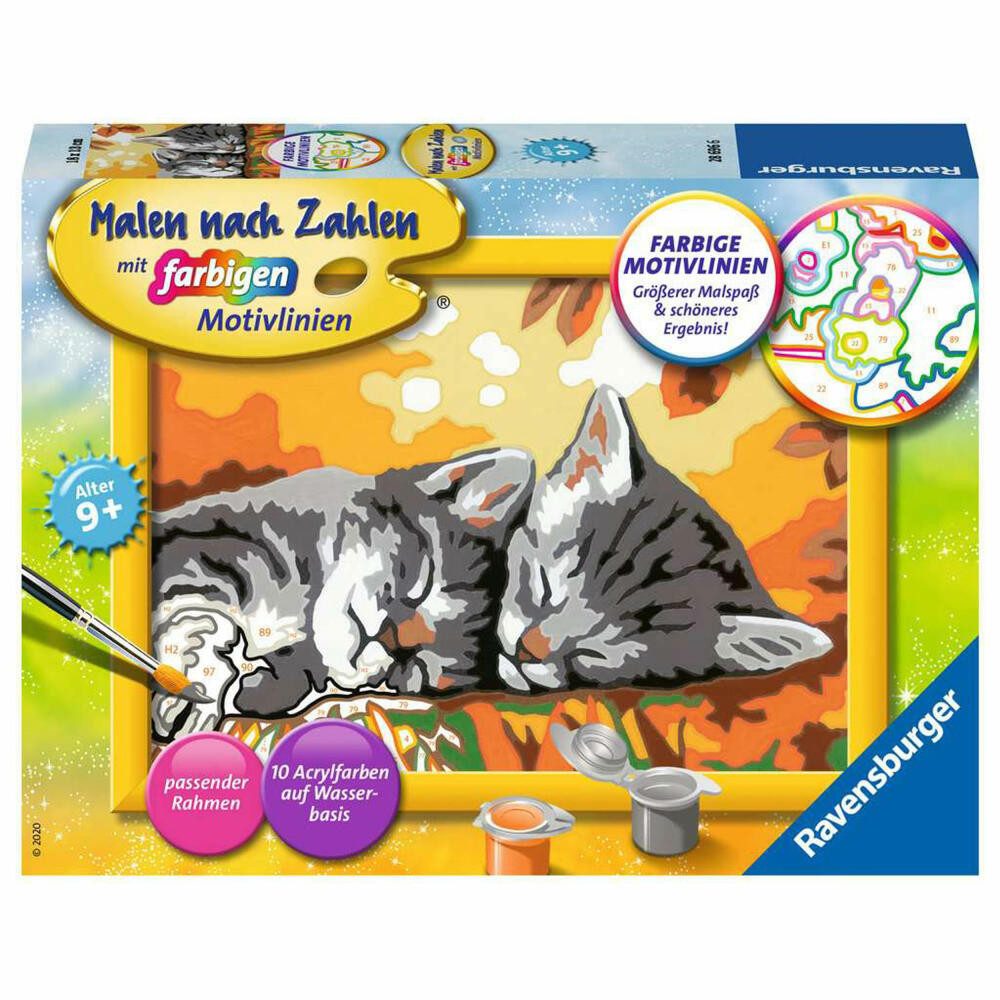 Ravensburger Раскрась по номерам Kätzchen im Herbst
