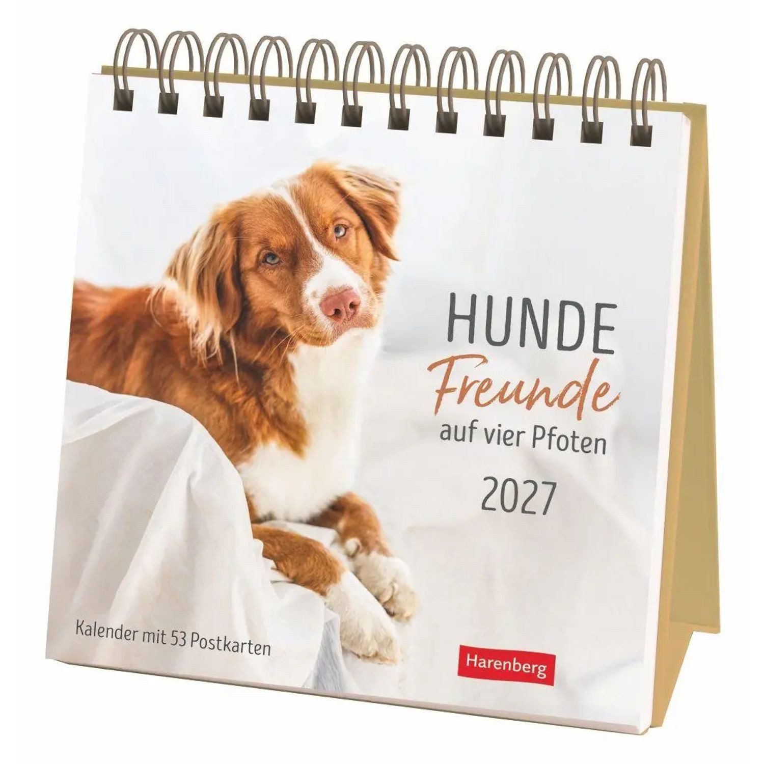Harenberg Kalender Verlag Tierkalender Hunde Premium-Postkartenkalender 2027 - Freunde auf vier Pfoten;...