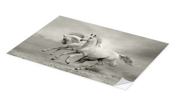 Posterlounge Wandfolie Editors Choice, Pferde im Sommer, Badezimmer Fotografie