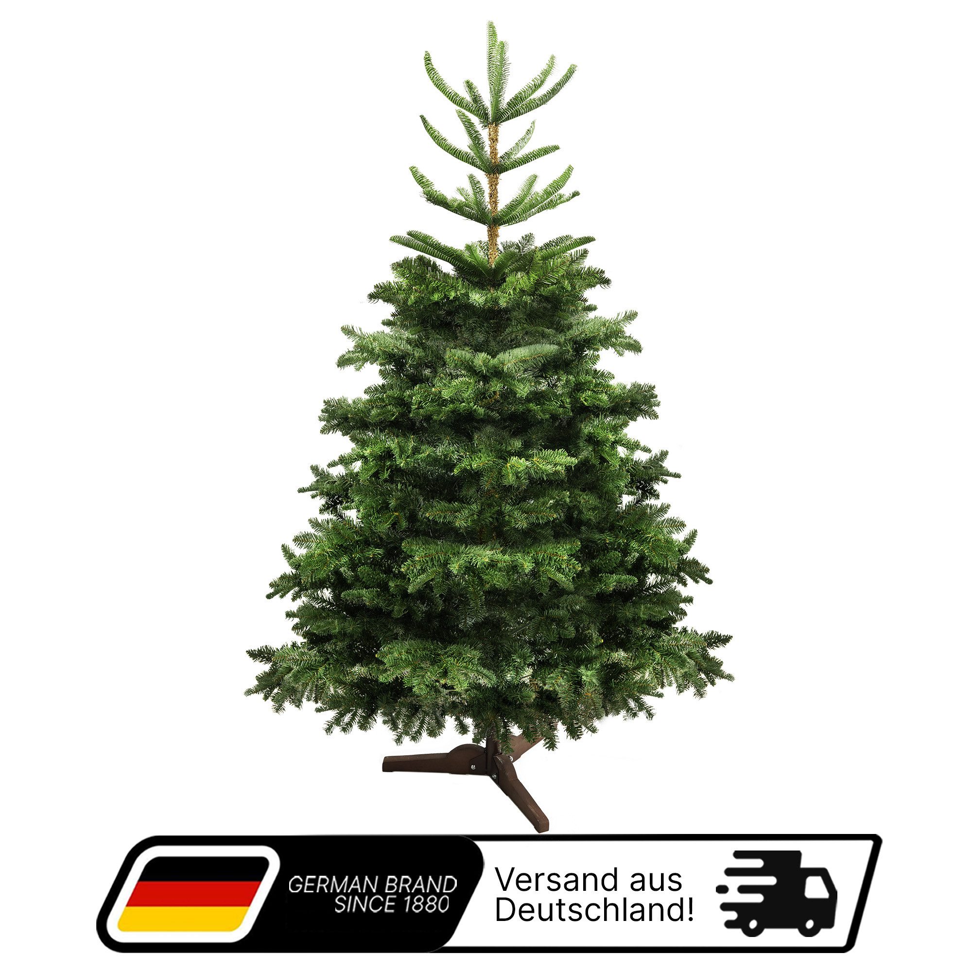 Aurelia Home Echter Weihnachtsbaum Künstlicher Weihnachtsbaum PE/PVC mit Holzständer, 150 cm, Nordmanntanne, Wiederverwendbar, vielseitig, pflegeleicht, umweltfreundlich