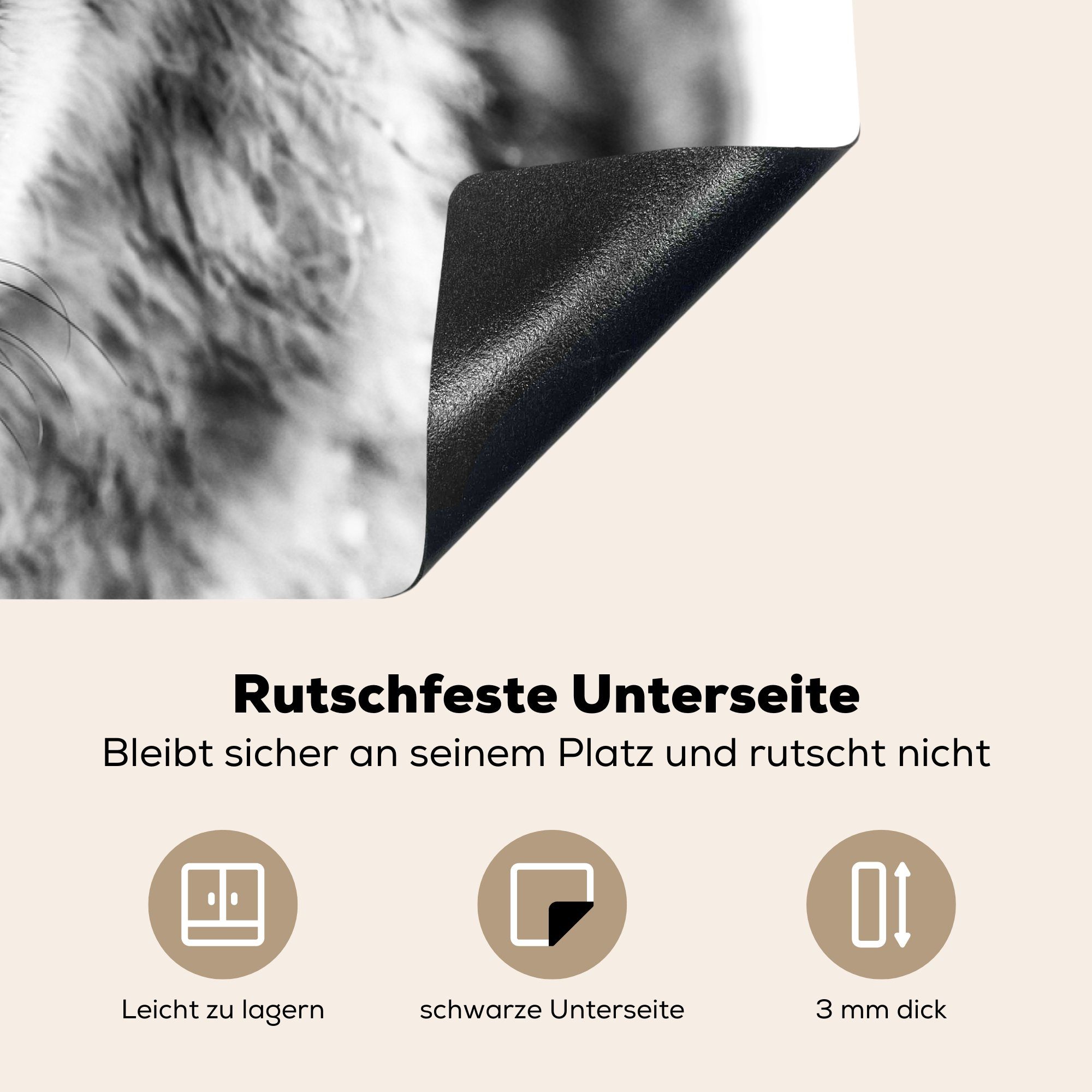 cm, und Winter Herdblende-/Abdeckplatte Wolf im für MuchoWow Schwarz 83x51 in Vinyl, tlg), Arbeitsplatte Weiß, (1 Ceranfeldabdeckung, küche