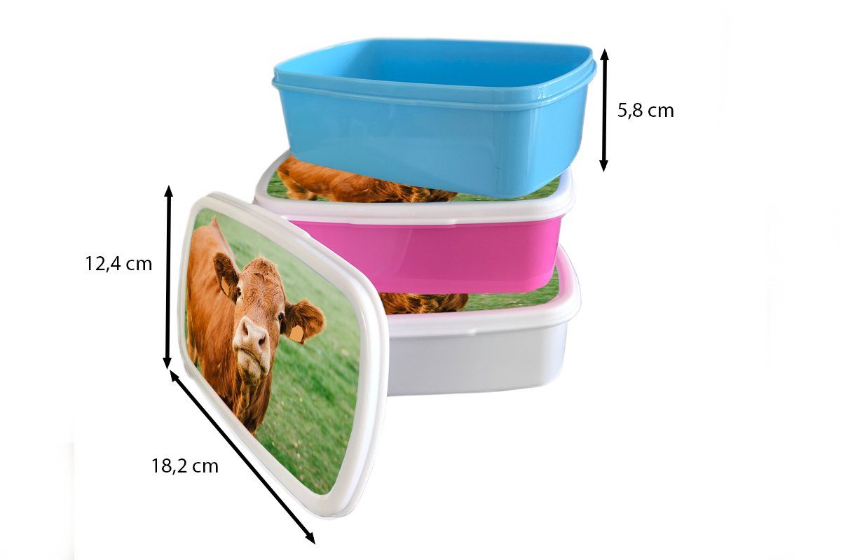 MuchoWow Lunchbox Kuh - Kinder - (2-tlg), Brotbox und Braun Brotdose, für für Erwachsene, Kunststoff, weiß Gras, Jungs und Mädchen