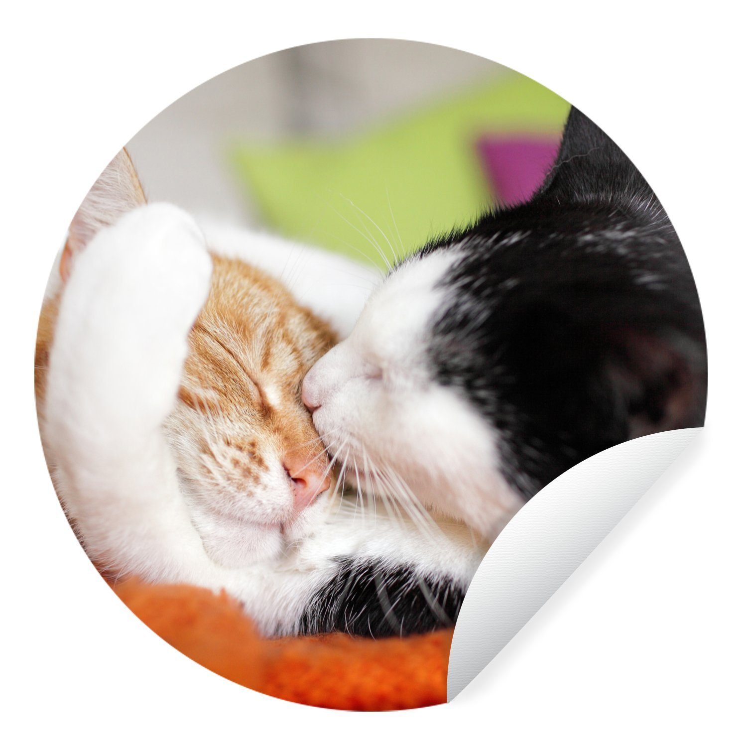 MuchoWow Wandsticker Katzen - Kuscheltier - Animal Day (1 St), Tapetenkreis für Kinderzimmer, Tapetenaufkleber, Rund, Wohnzimmer | Wandtattoos