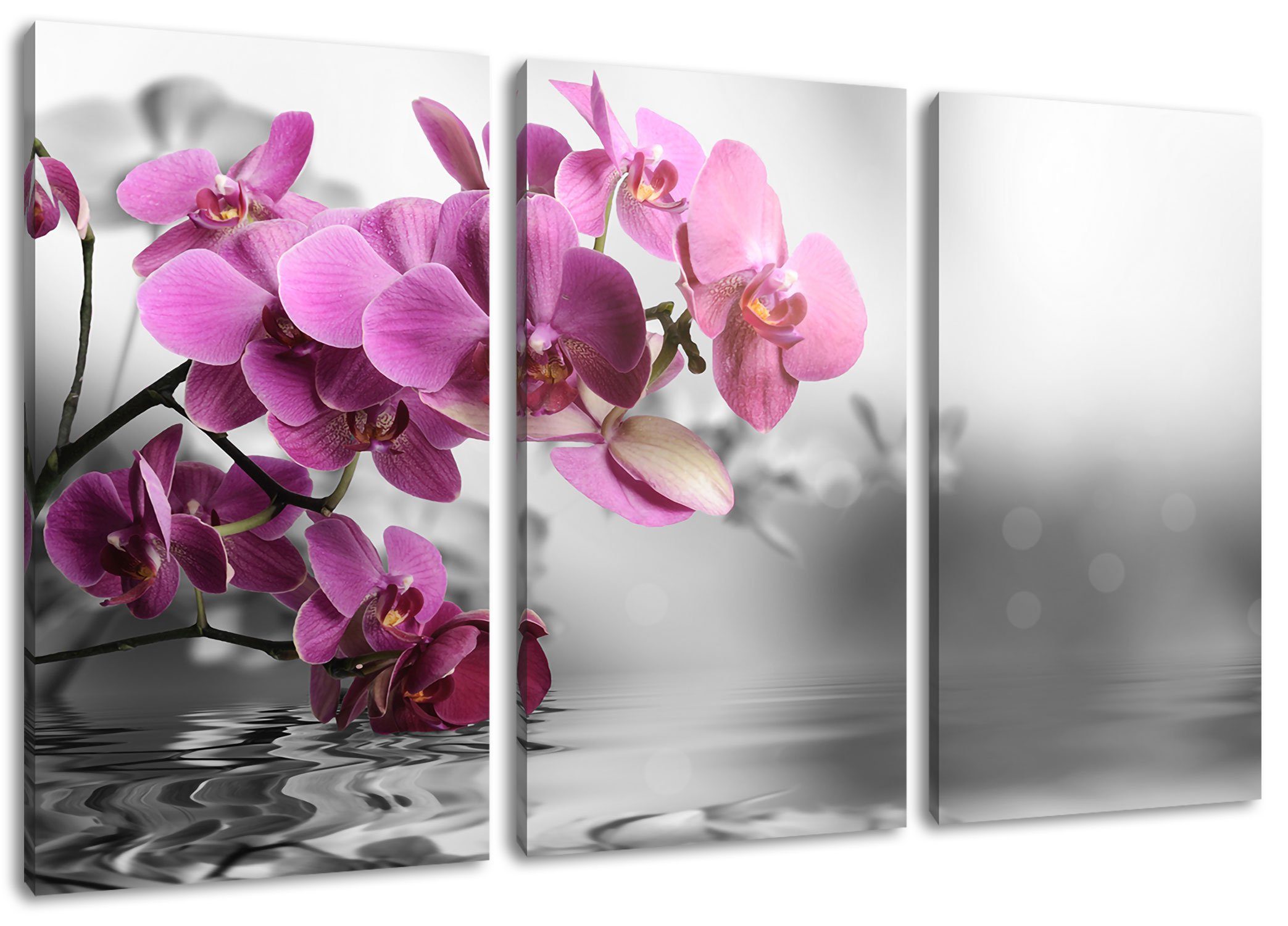 Pixxprint Leinwandbild Orchideenblüten über Wasser, Orchideenblüten über Wasser 3Teiler (120x80cm) (1 St), Leinwandbild fertig bespannt, inkl. Zackenaufhänger
