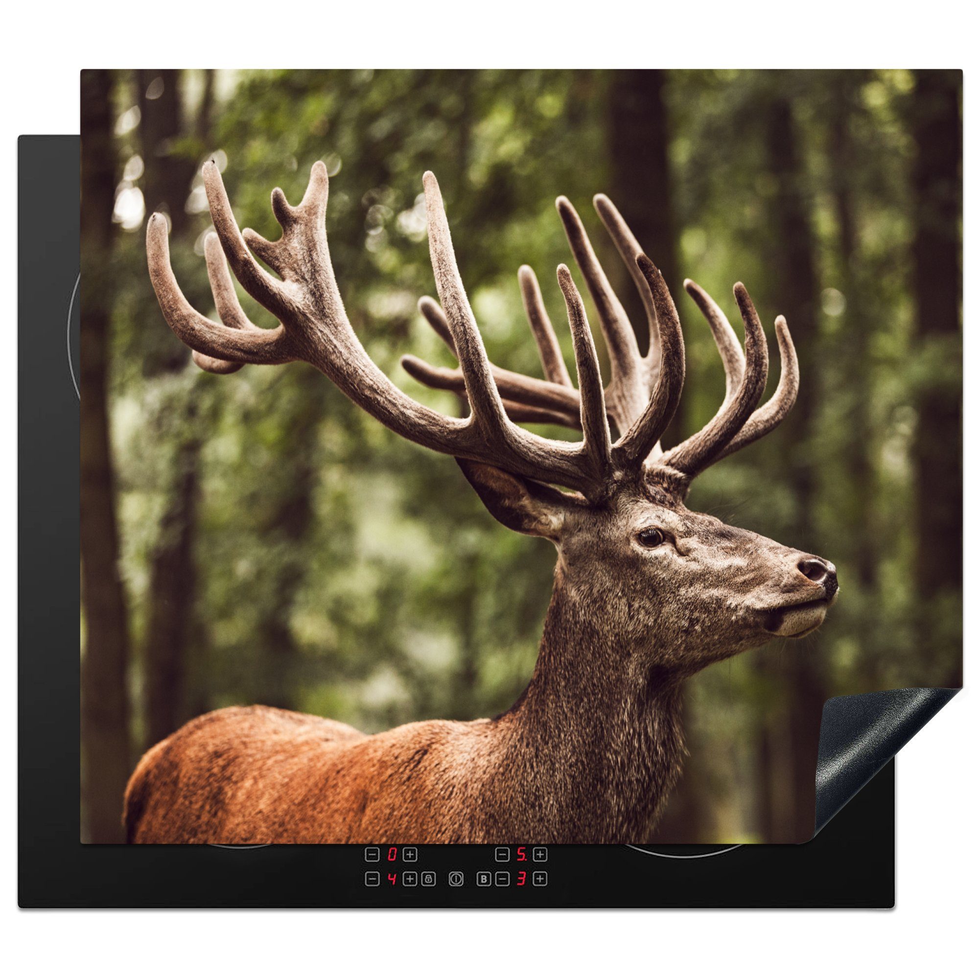 - - 57x51 Wald Geweih tlg), (1 cm, Natur Herdblende-/Abdeckplatte MuchoWow - Vinyl, Induktionskochfeld, Tiere, Induktionsschutz, - Ceranfeldabdeckung Hirsch