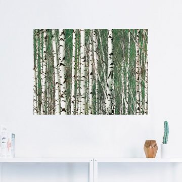 Artland Wandbild Birkenwald - Bäume, Bäume (1 St), als Leinwandbild, Wandaufkleber in verschied. Größen