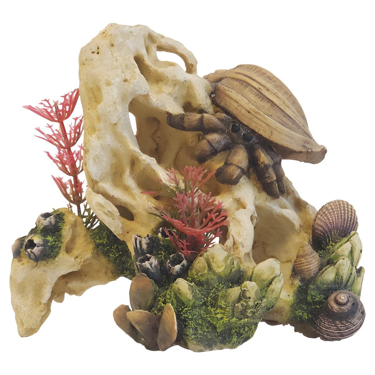 Nobby Aquariendeko Aquariendekoration Aqua Ornaments Muschel auf Stein