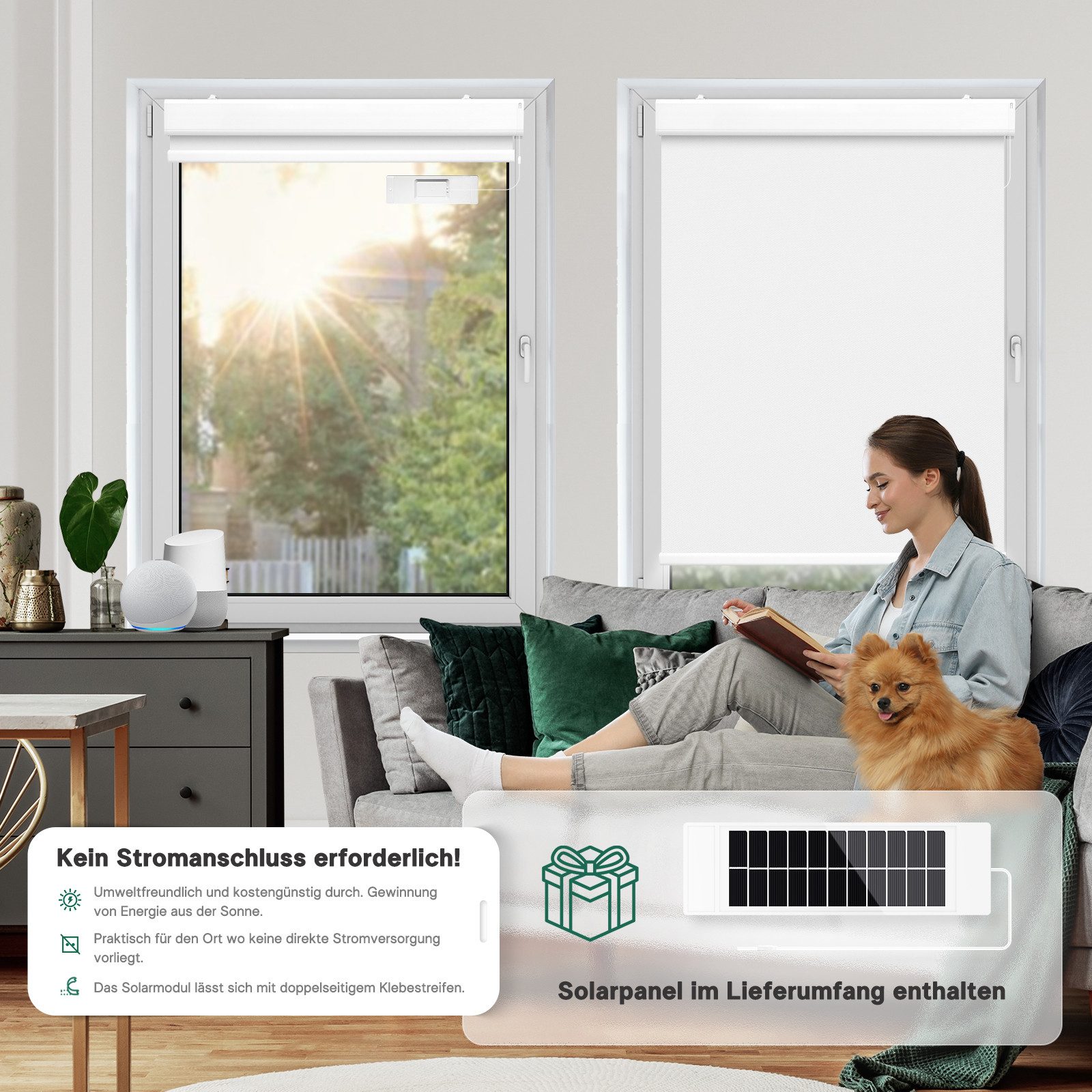 Elektrisches Rollo Thermorollo, mit Fernbedienung Verdunkelung günstig online kaufen