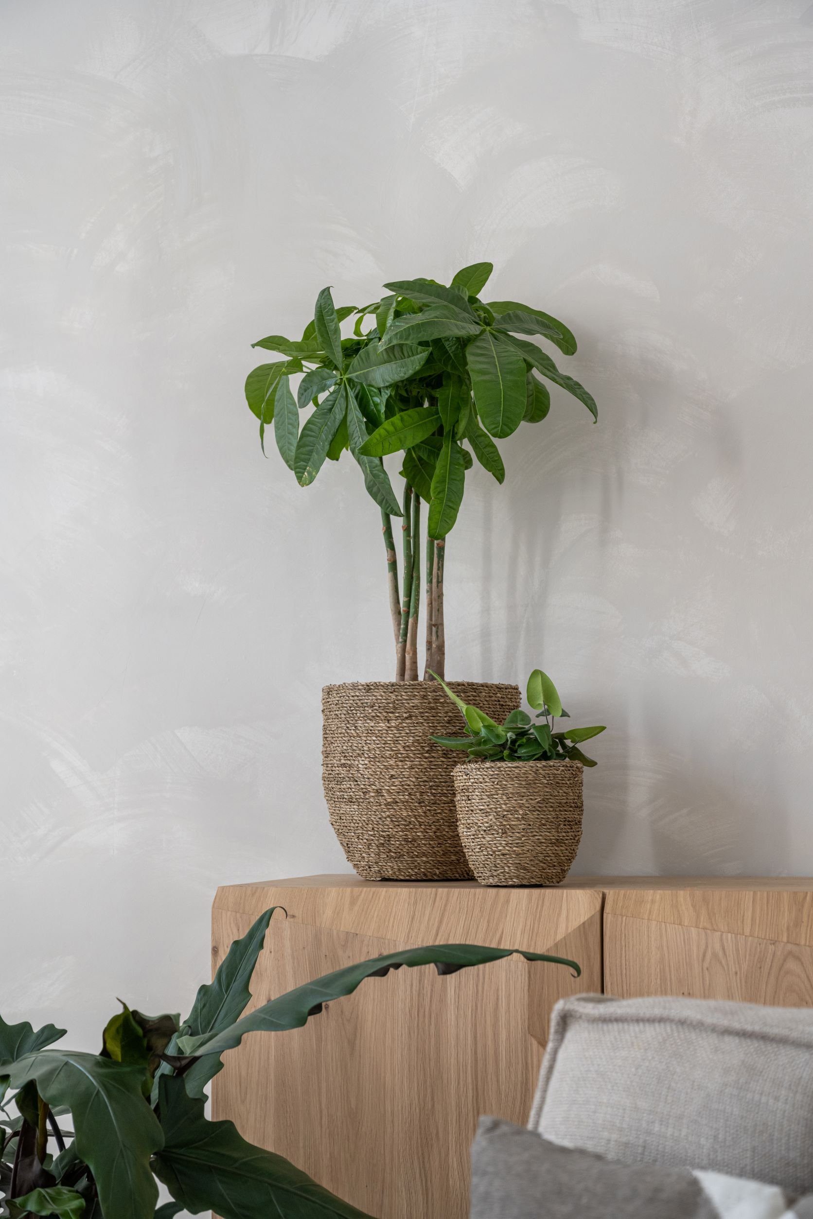 finestgreen Pflanzkübel Cody Straw Grass handgewebter Pflanzkorb günstig online kaufen