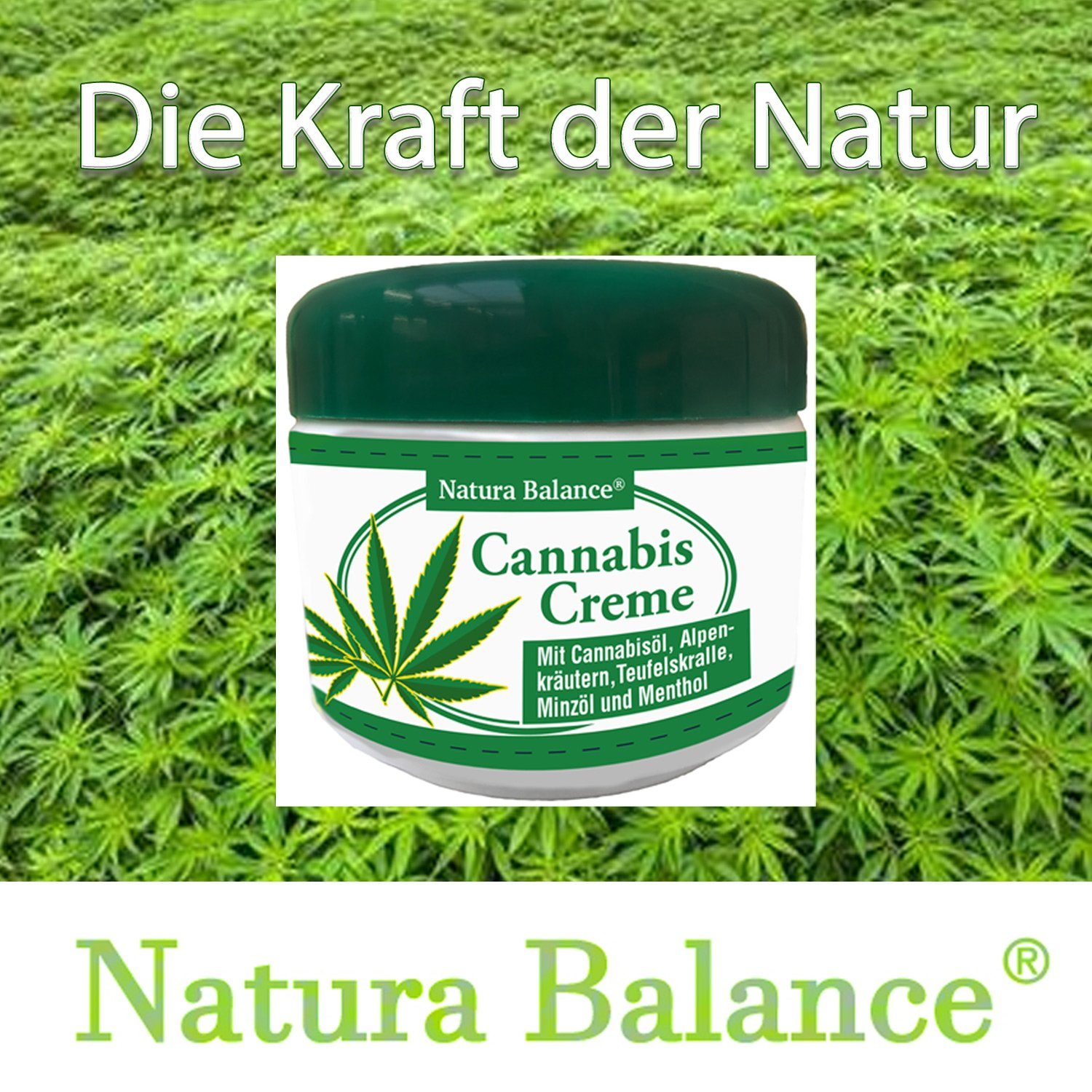 Alpenkräuter Körper Natura Creme Cannabis Dosen Balance a Hautcreme 3 Cannabis Salbe, 3-tlg., Körper Creme 125ml