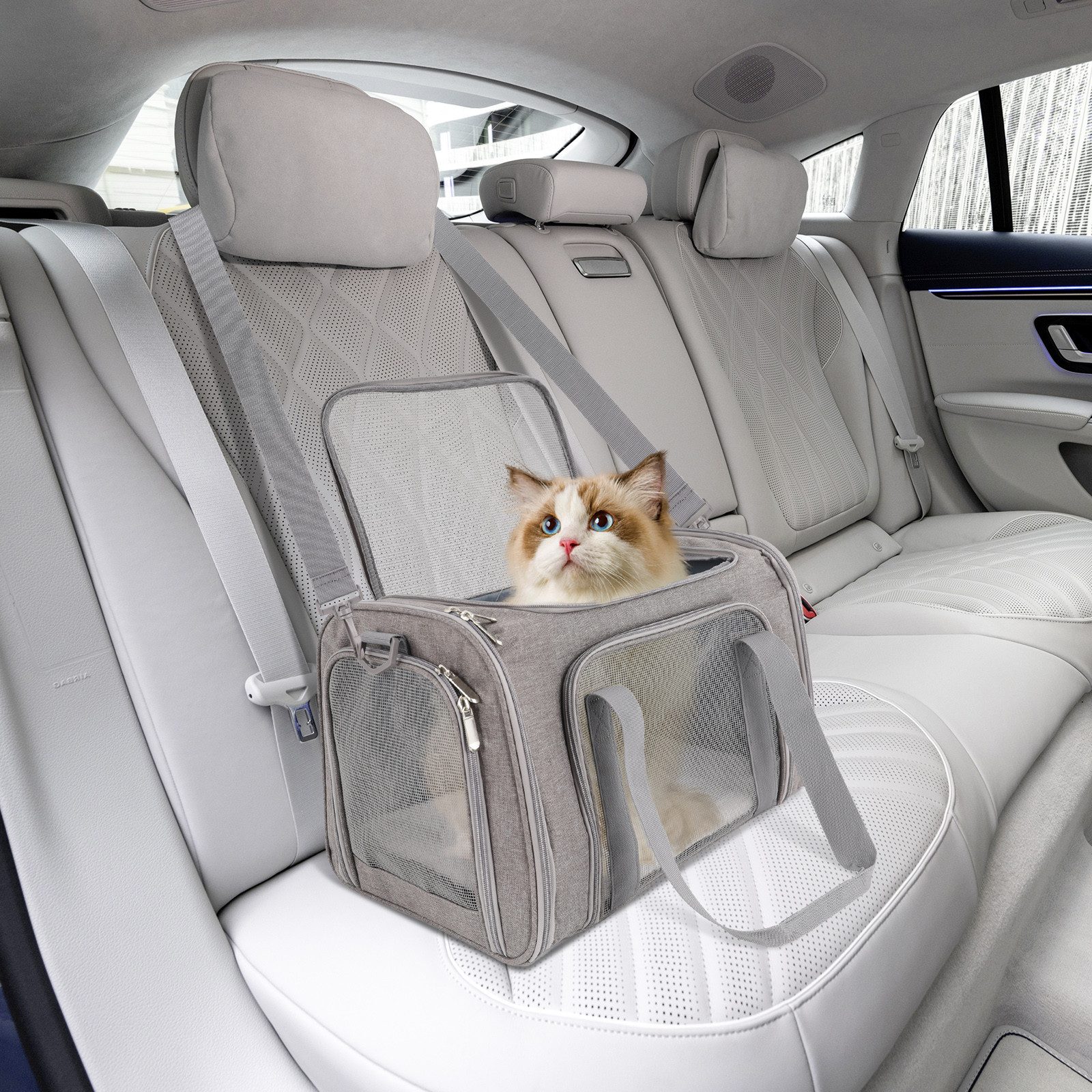 CALIYO Tiertransporttasche Hundetasche Transportbox, Atmungsaktive und Faltbare Hundebox Katzen bis 6,00 kg, mit Verstellbarem Schultergurt Katzentransportkäfig mit Plüschmatratze