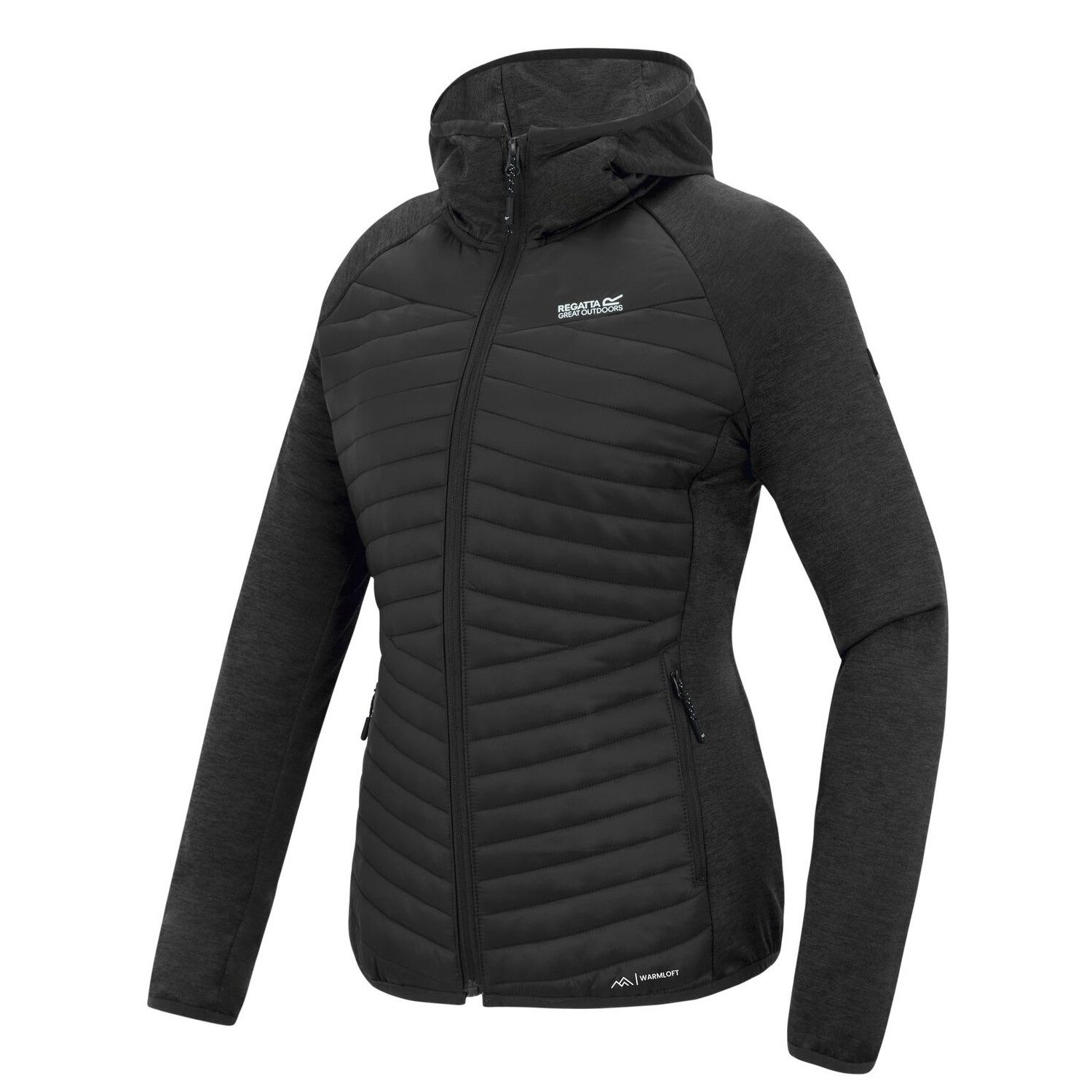 Regatta Steppjacke Andreson Hybrid Softshelljacke günstig online kaufen