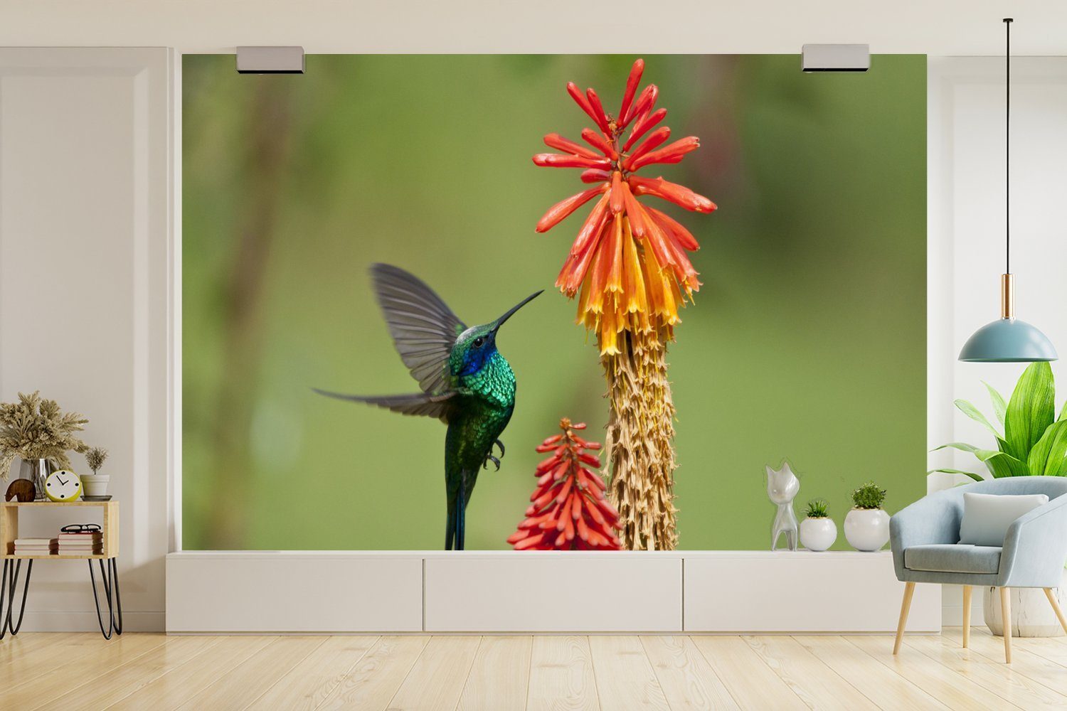 Vogel Tapete - Kolibri Schlafzimmer, MuchoWow St), für bedruckt, Vinyl Wohnzimmer, Fototapete Blumen, - Matt, Wallpaper (6 Kinderzimmer,