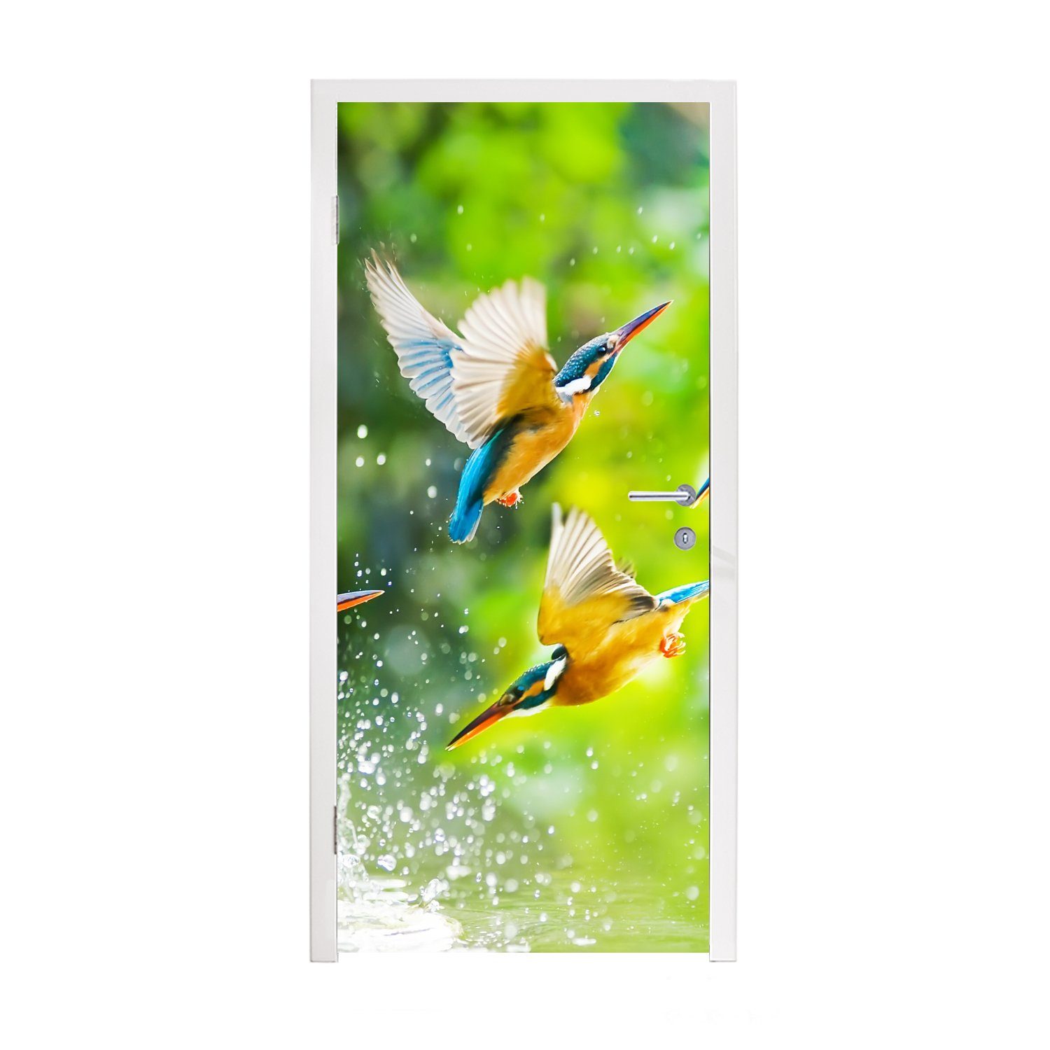 St), (1 Matt, Tür, - 75x205 cm Wasser, Tiere Eisvogel Fototapete - Türtapete bedruckt, für - Türaufkleber, Vögel MuchoWow