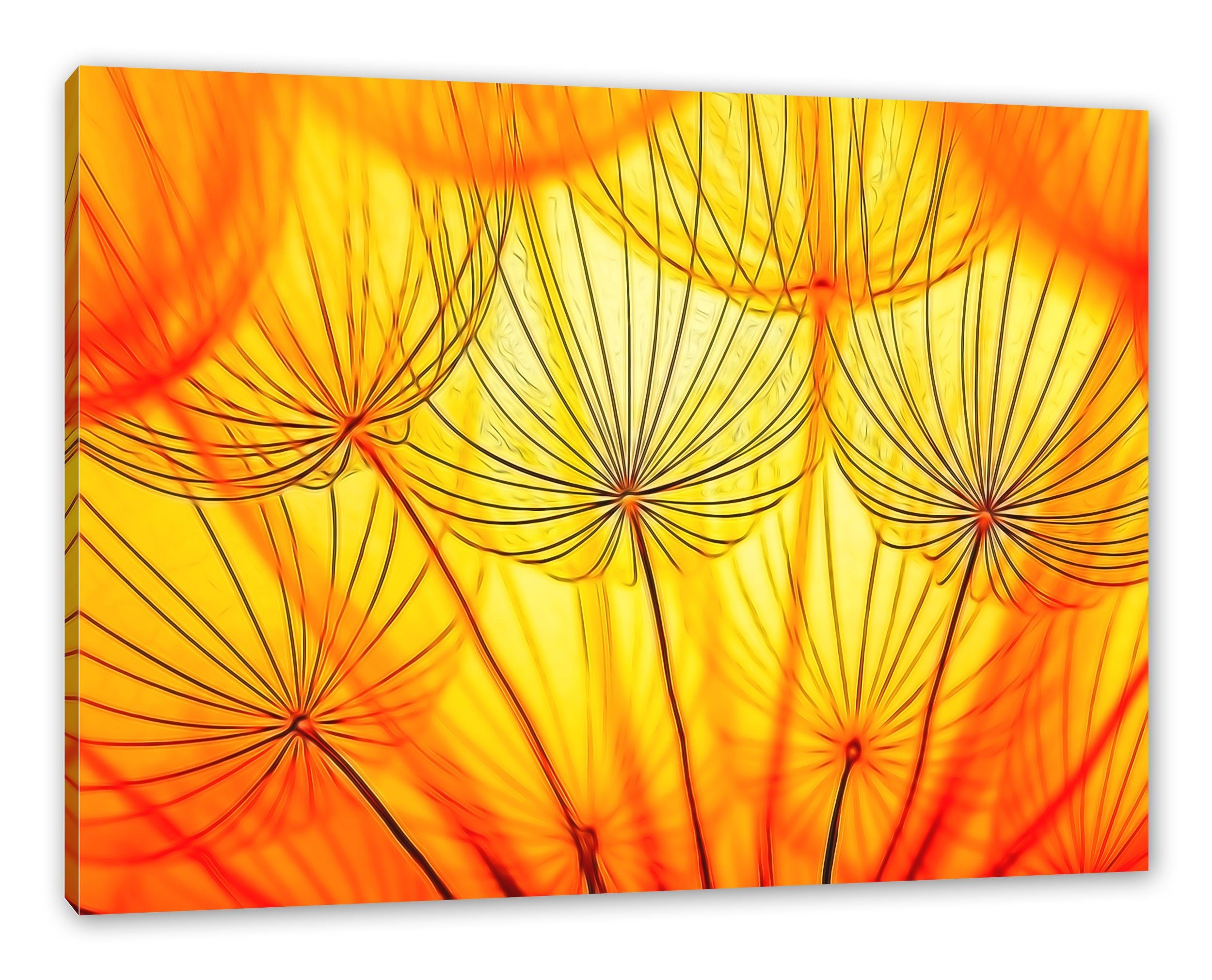 Pusteblumen Zackenaufhänger (1 bespannt, Pixxprint Licht oranges St), Leinwandbild inkl. Pusteblumen Leinwandbild Licht, fertig oranges