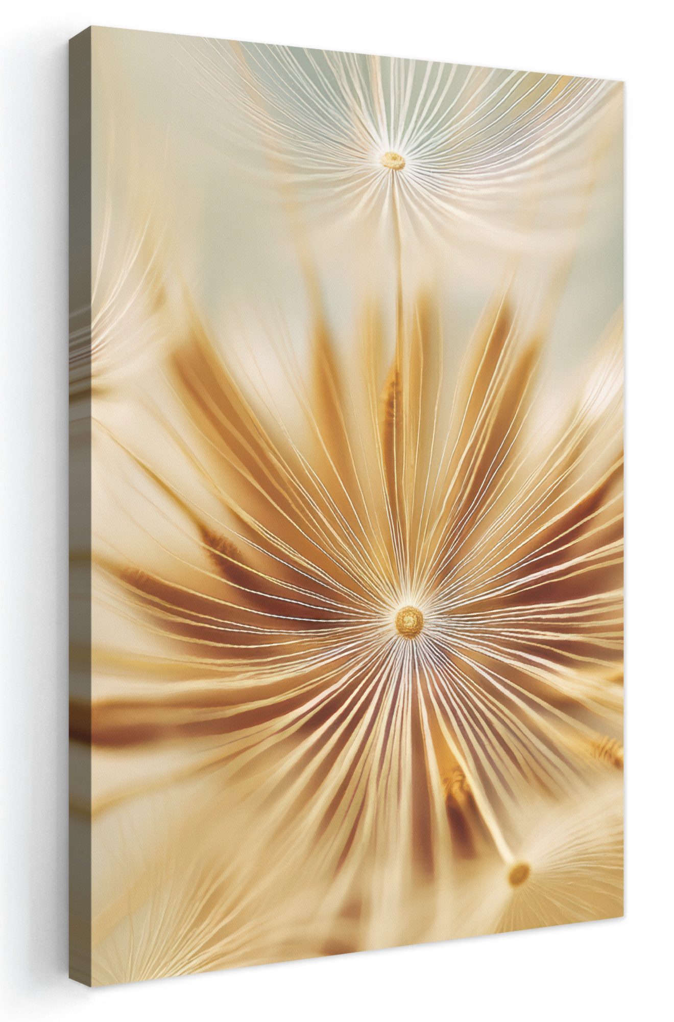 OneMillionCanvasses® Leinwandbild Löwenzahn - Beige - Abstrakt - Modern - Natur, Fotodruck (1 St), Leinwand Canvas Wandbild, Wanddekoration 20x30 cm