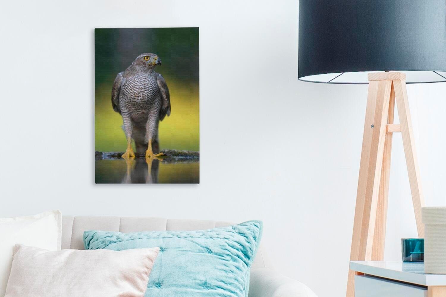 OneMillionCanvasses® Leinwandbild Ein Falke auf inkl. im einem Gemälde, St), Wasser, cm Zackenaufhänger, heißen (1 Ast bespannt Leinwandbild 20x30 fertig